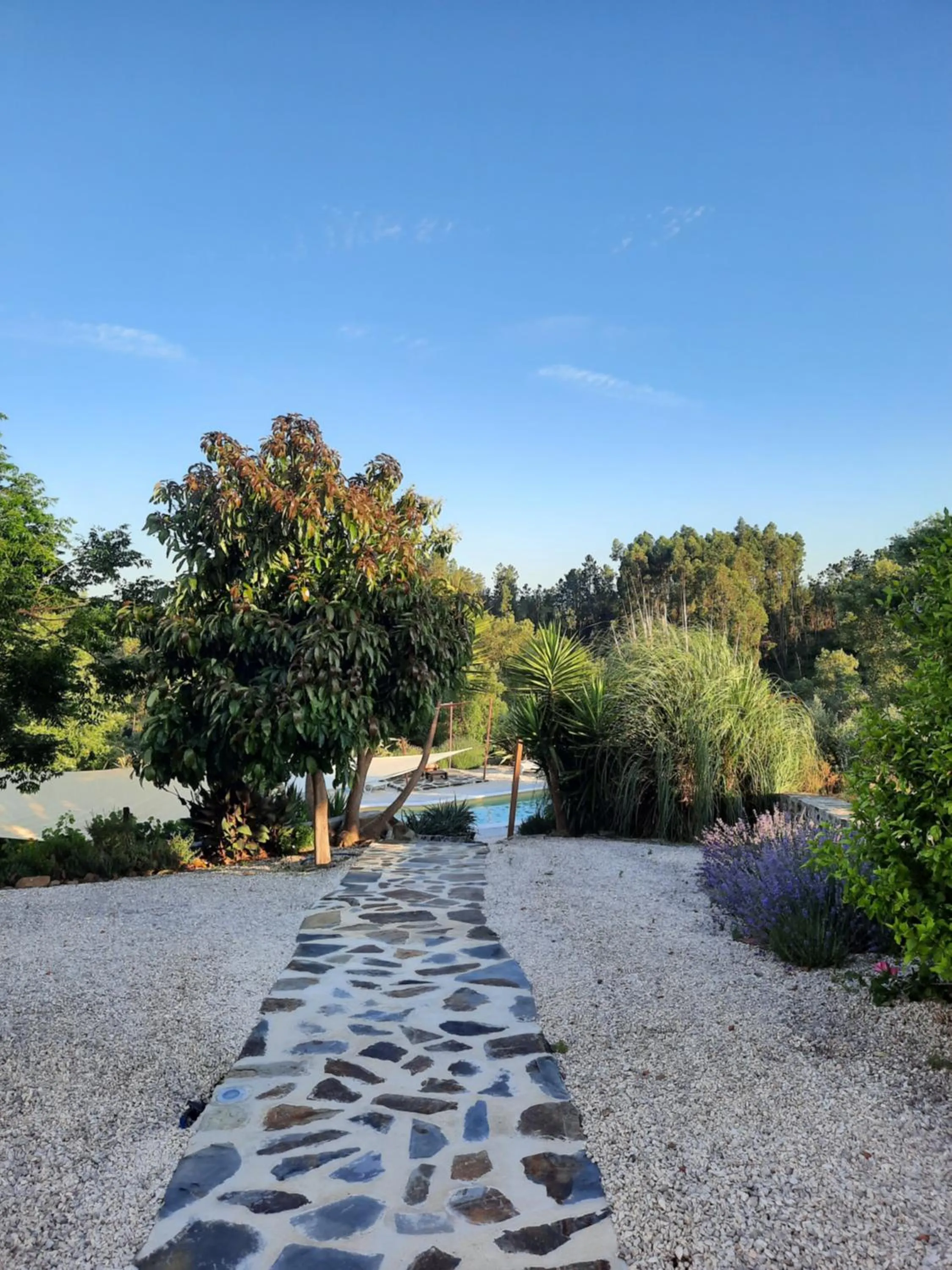 Natural landscape in Quinta Quatro Ventos