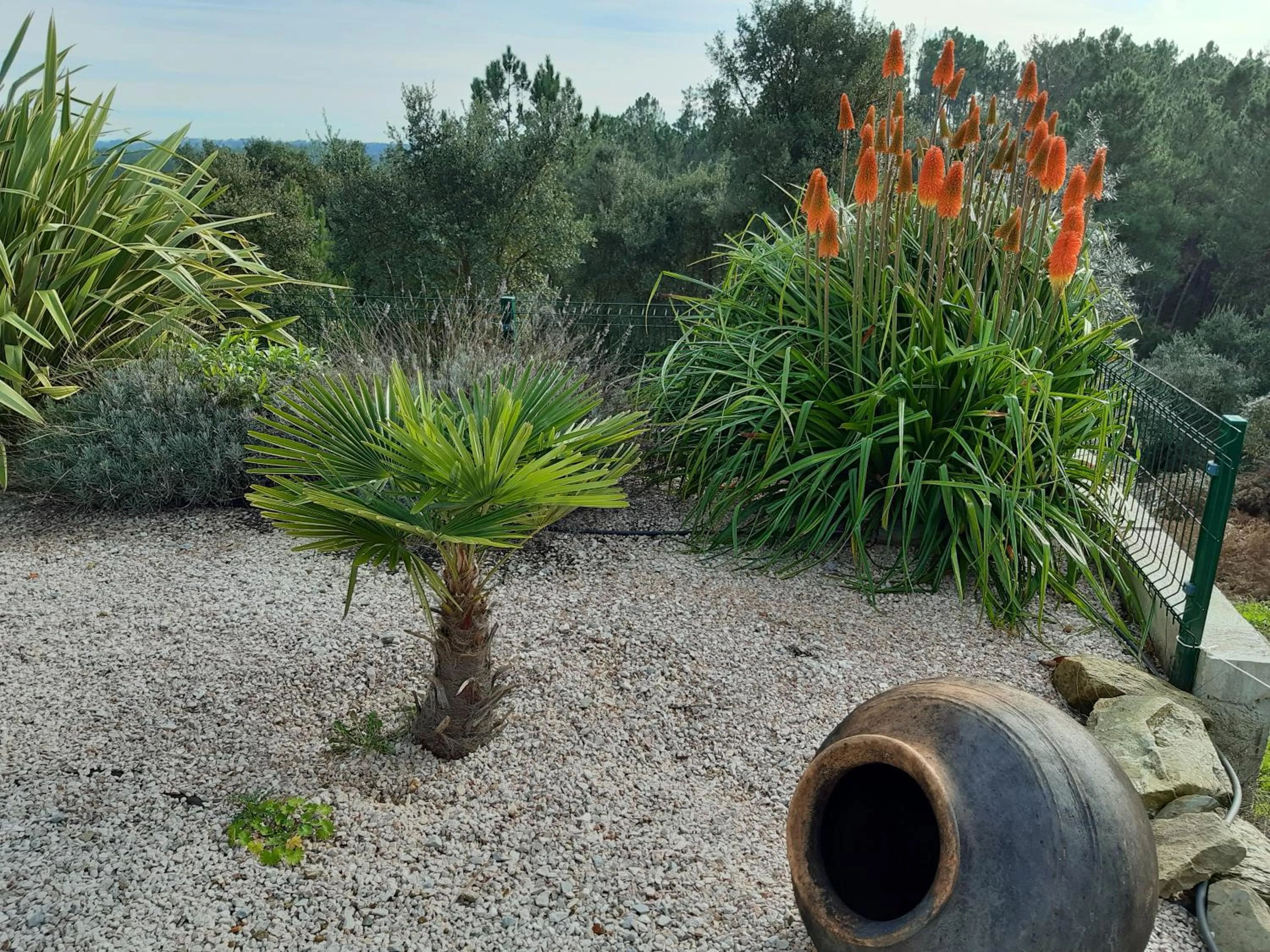 Swimming pool in Quinta Quatro Ventos