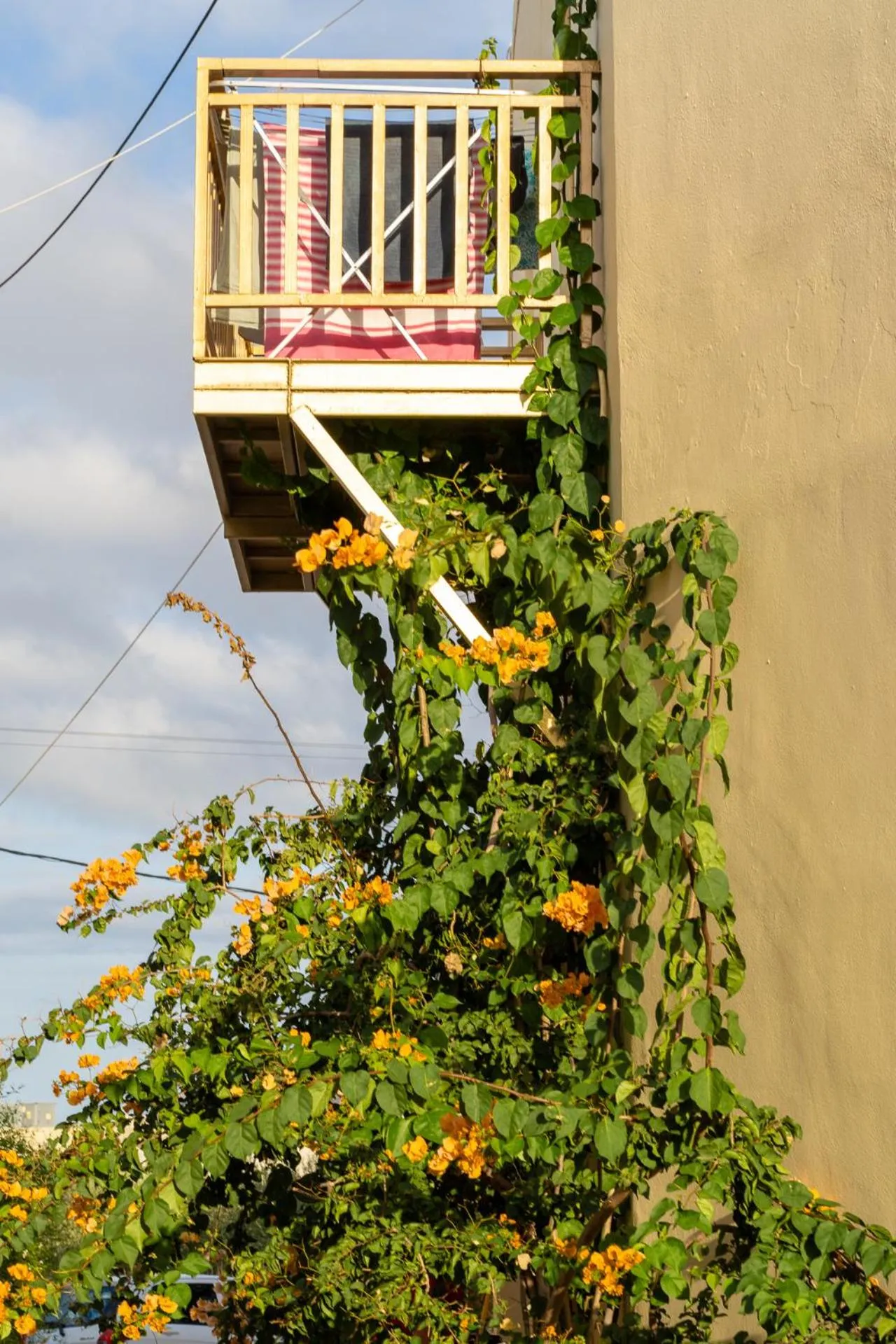 Property building in Elpis Studio Apartments