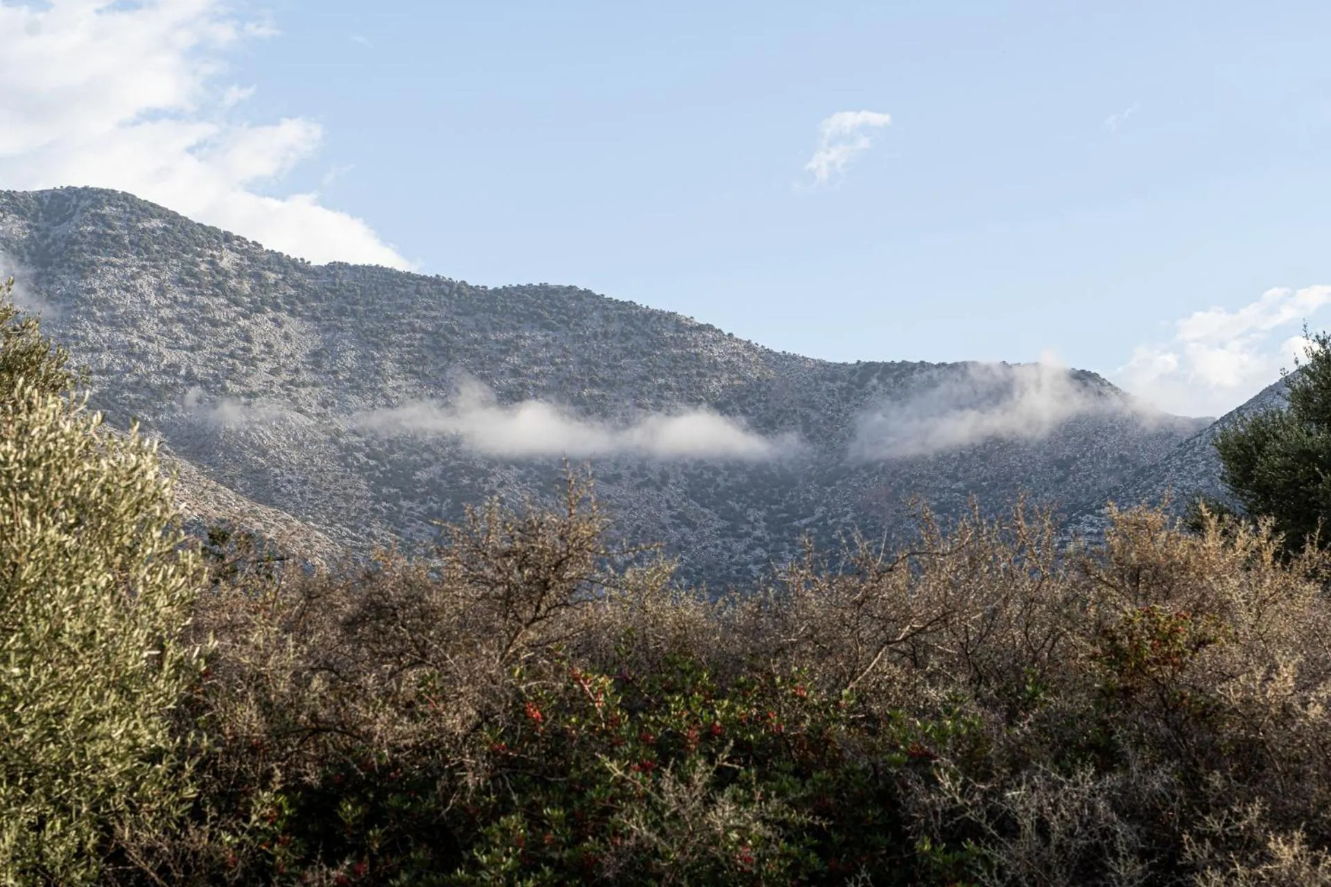 Natural landscape in Elpis Studio Apartments