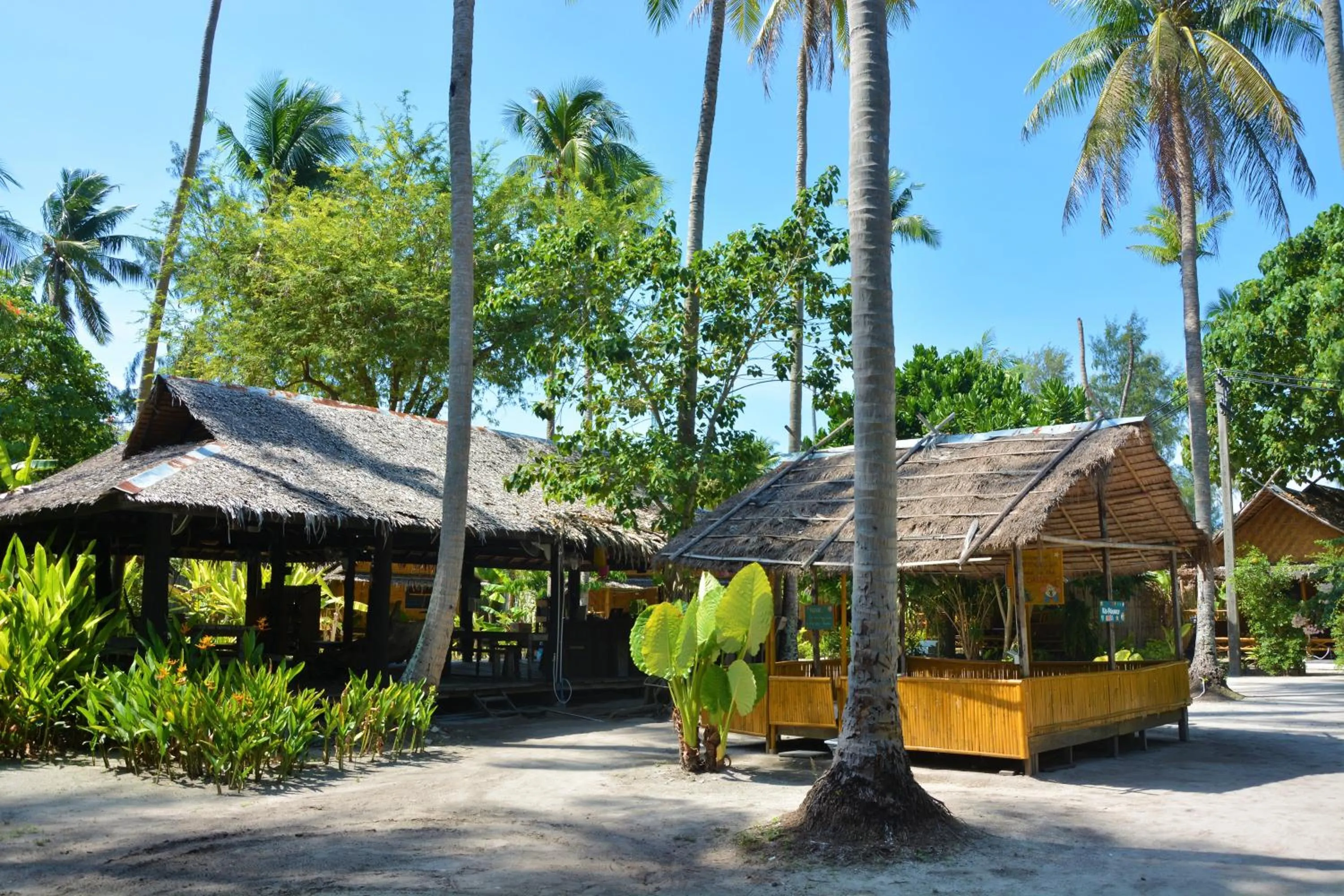 Property building in Forra Dive Resort Sunrise