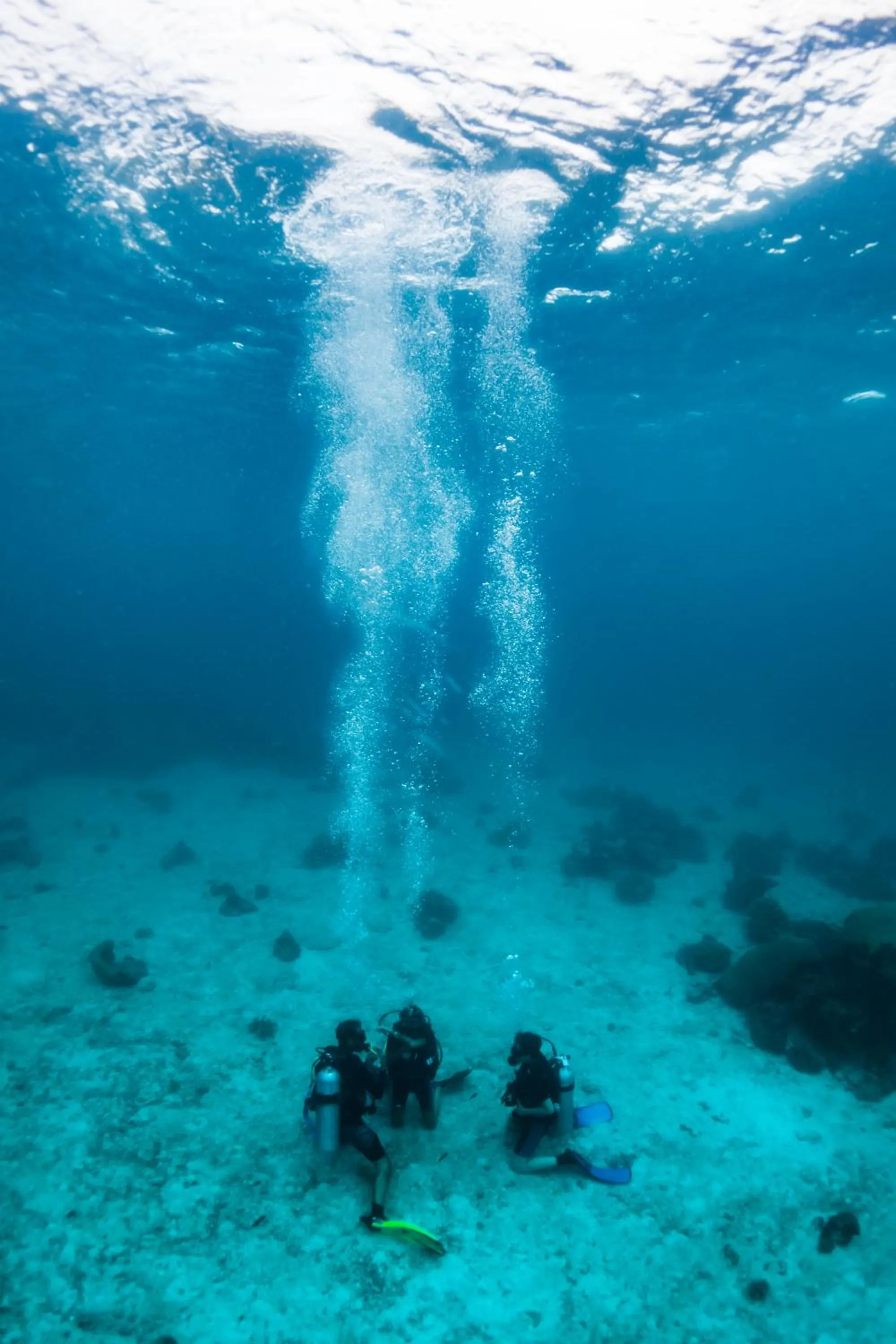 Diving in Forra Dive Resort Sunrise