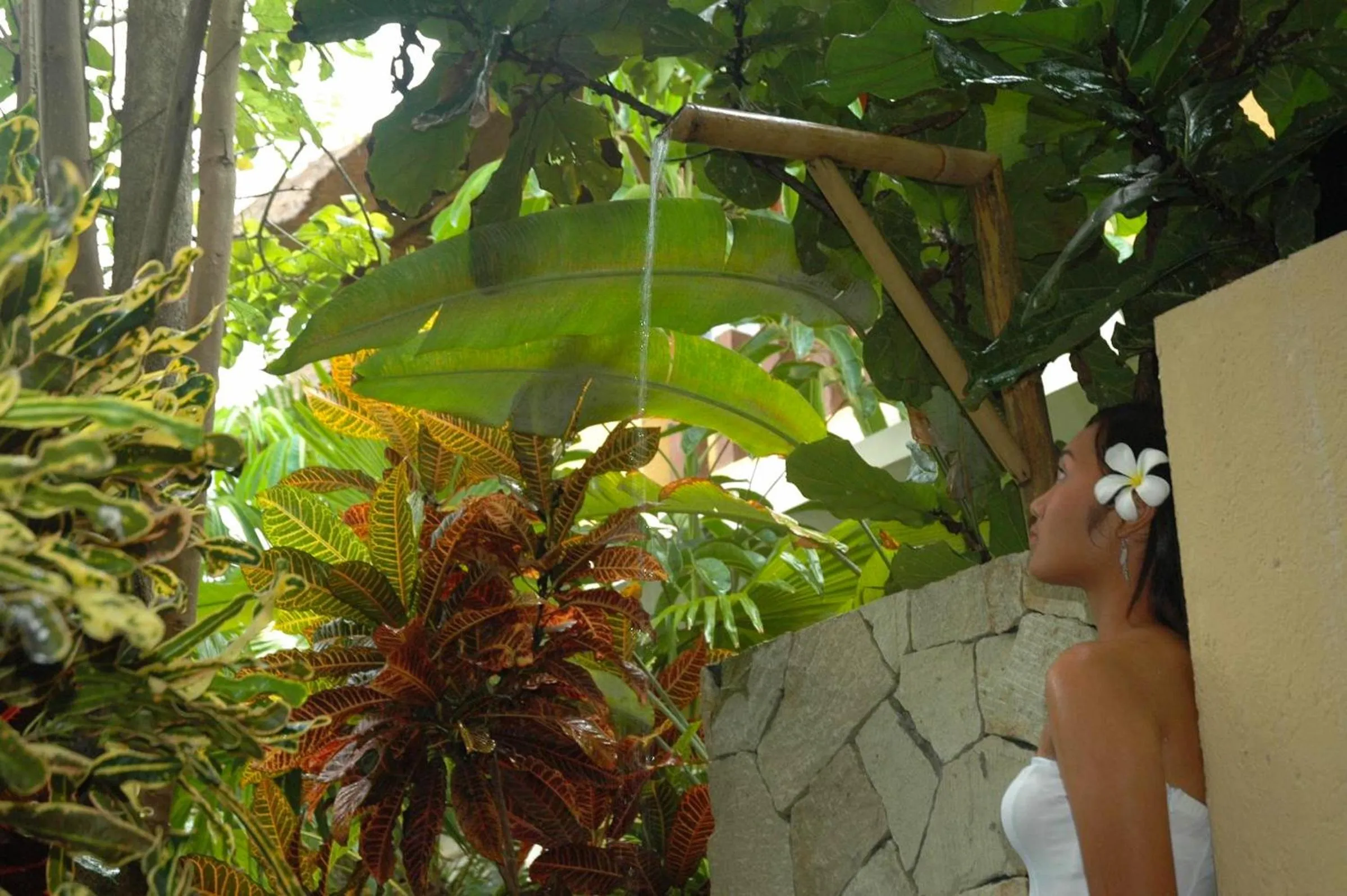 Swimming pool in D'Sriwing Villa Gallery