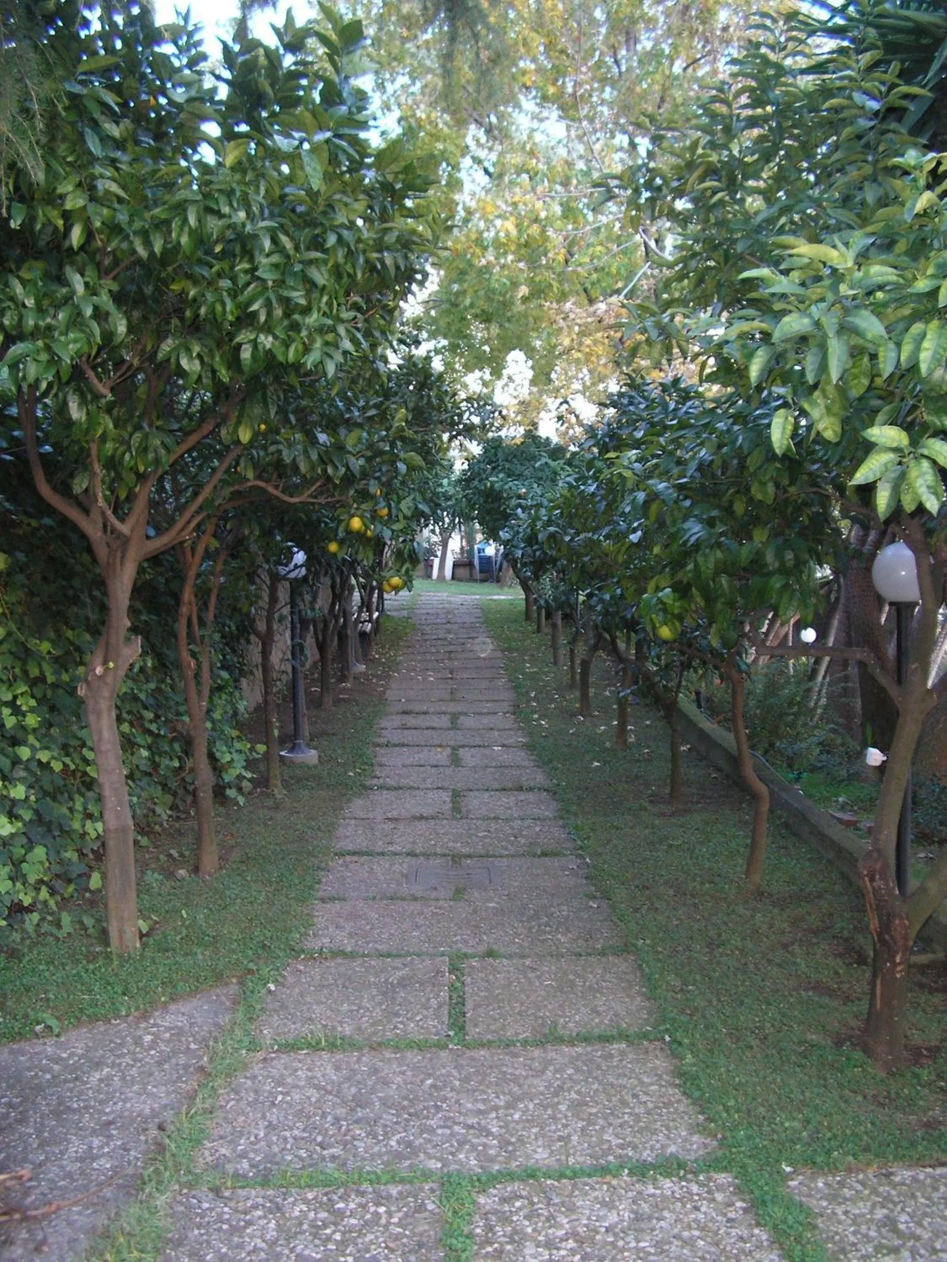Garden in Villa Poseidon -Boutique Hotel-