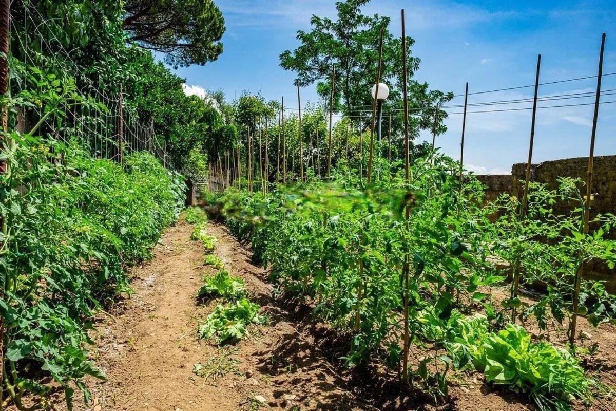 Day in Villa Poseidon -Boutique Hotel-