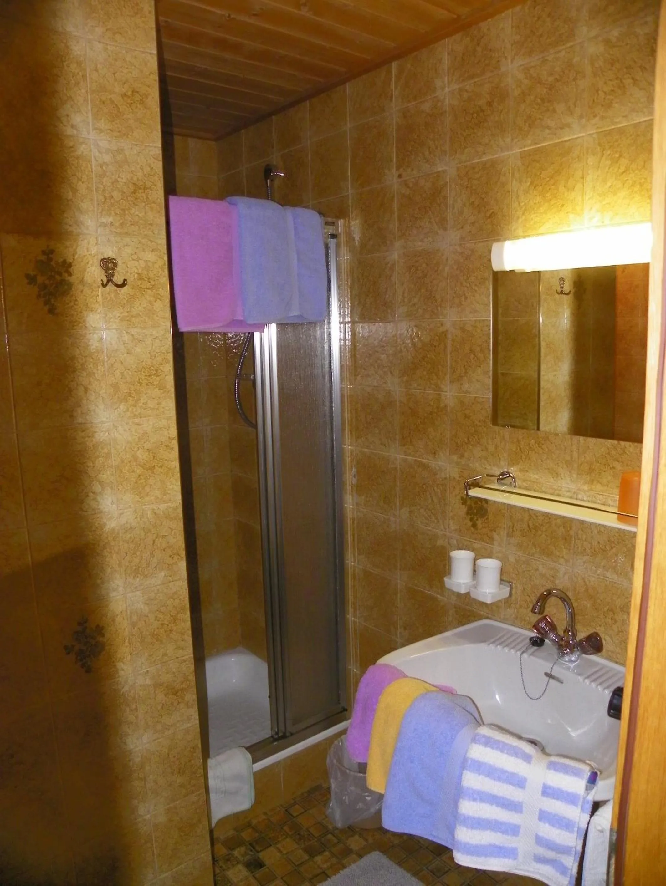 Bathroom in Ferienwohnung Ski-Hans