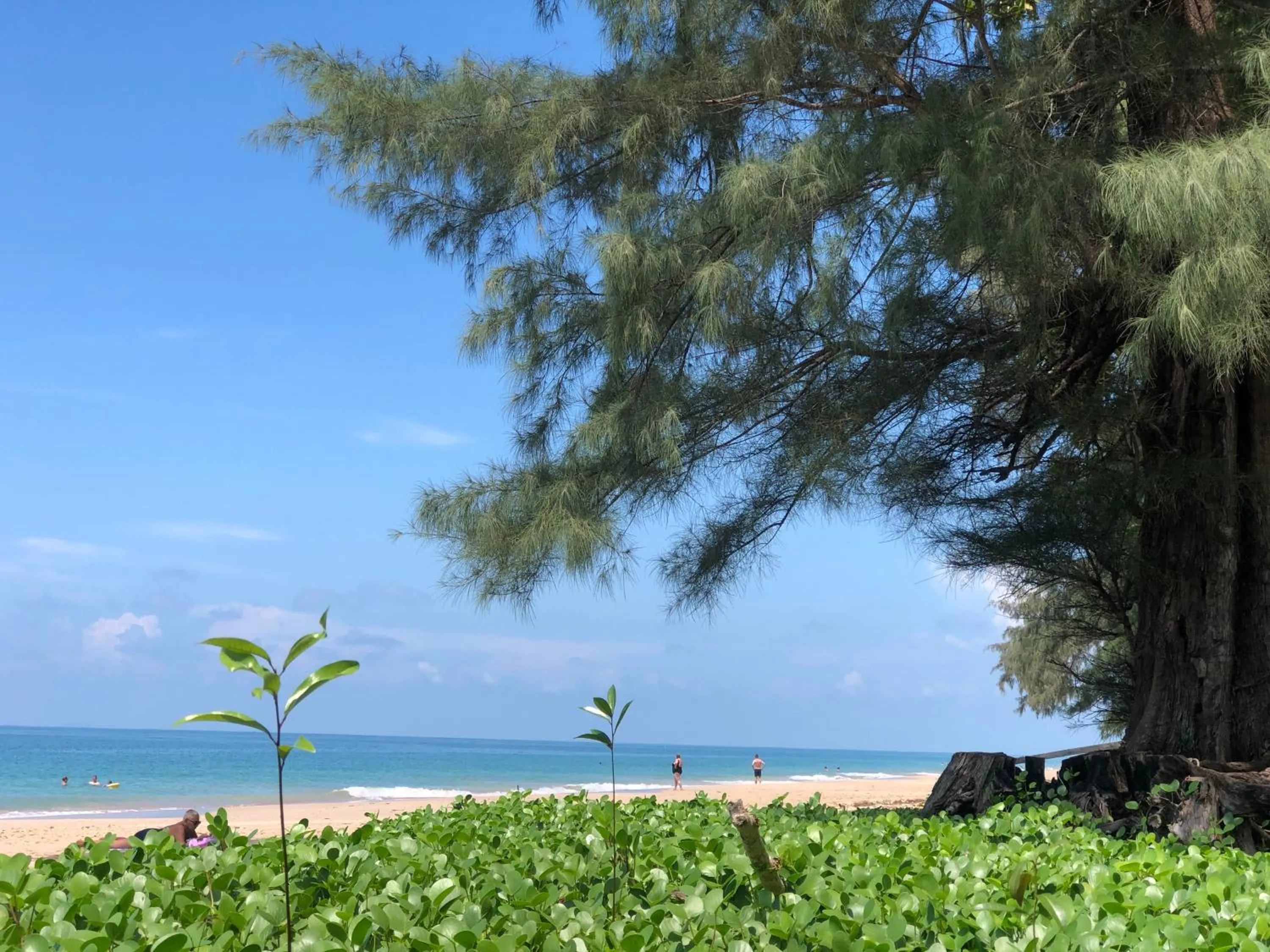 Beach in DolceVita Wonderful Resort