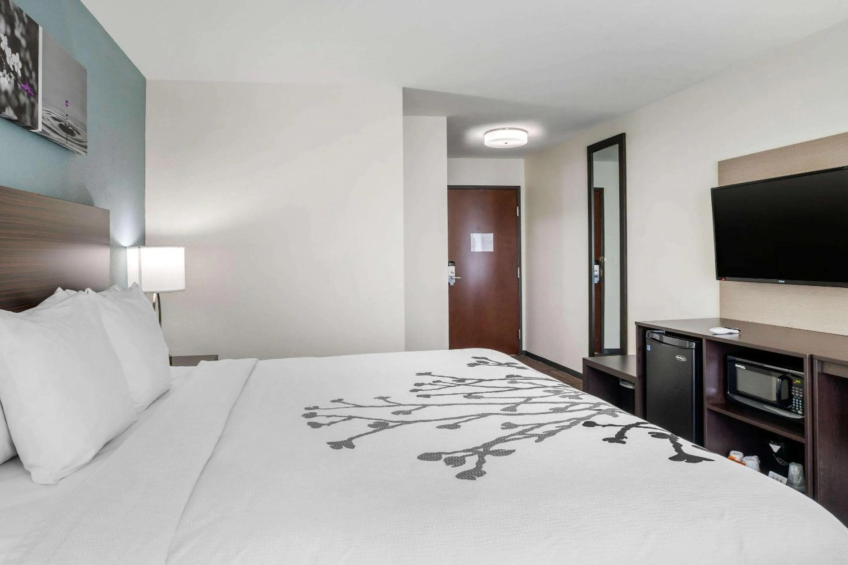 Photo of the whole room, Bed in Sleep Inn & Suites near Westchase