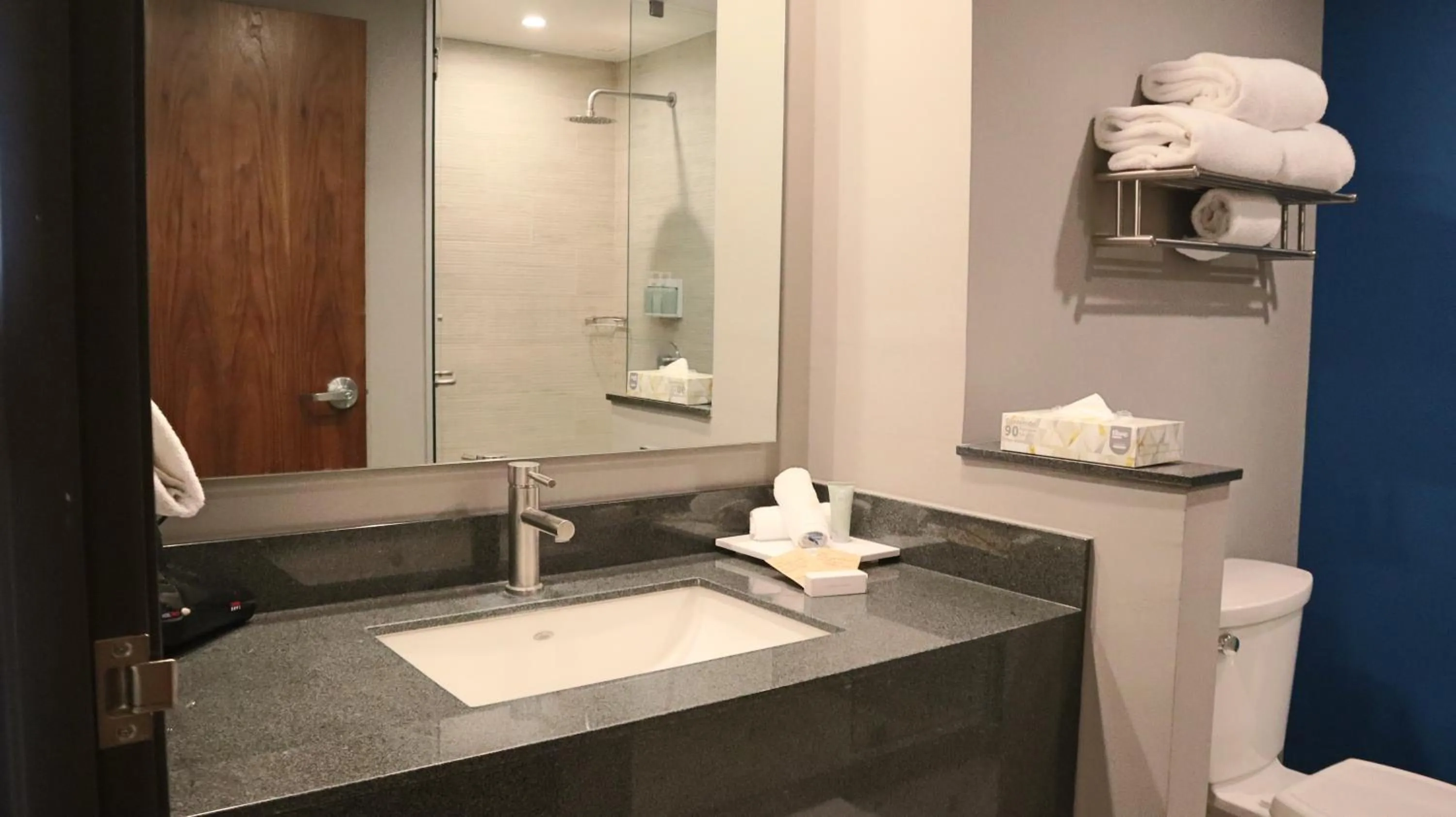 Bathroom in Fairfield Inn & Suites by Marriott Aguascalientes