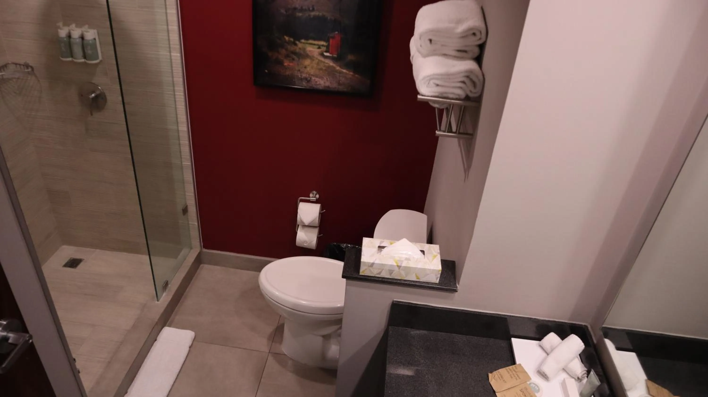 Bathroom in Fairfield Inn & Suites by Marriott Aguascalientes