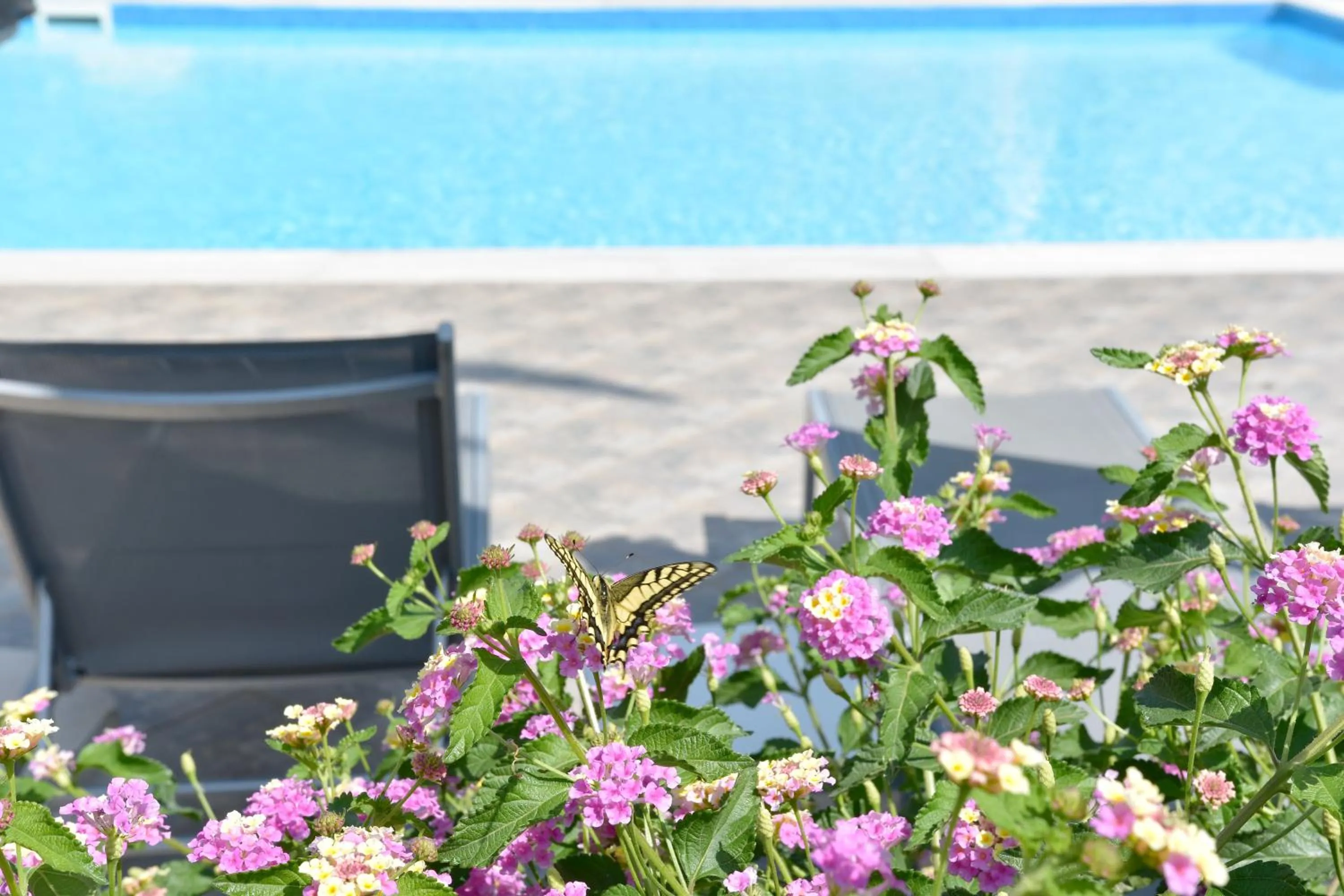 Pool view in Emporios Bay Hotel Chios
