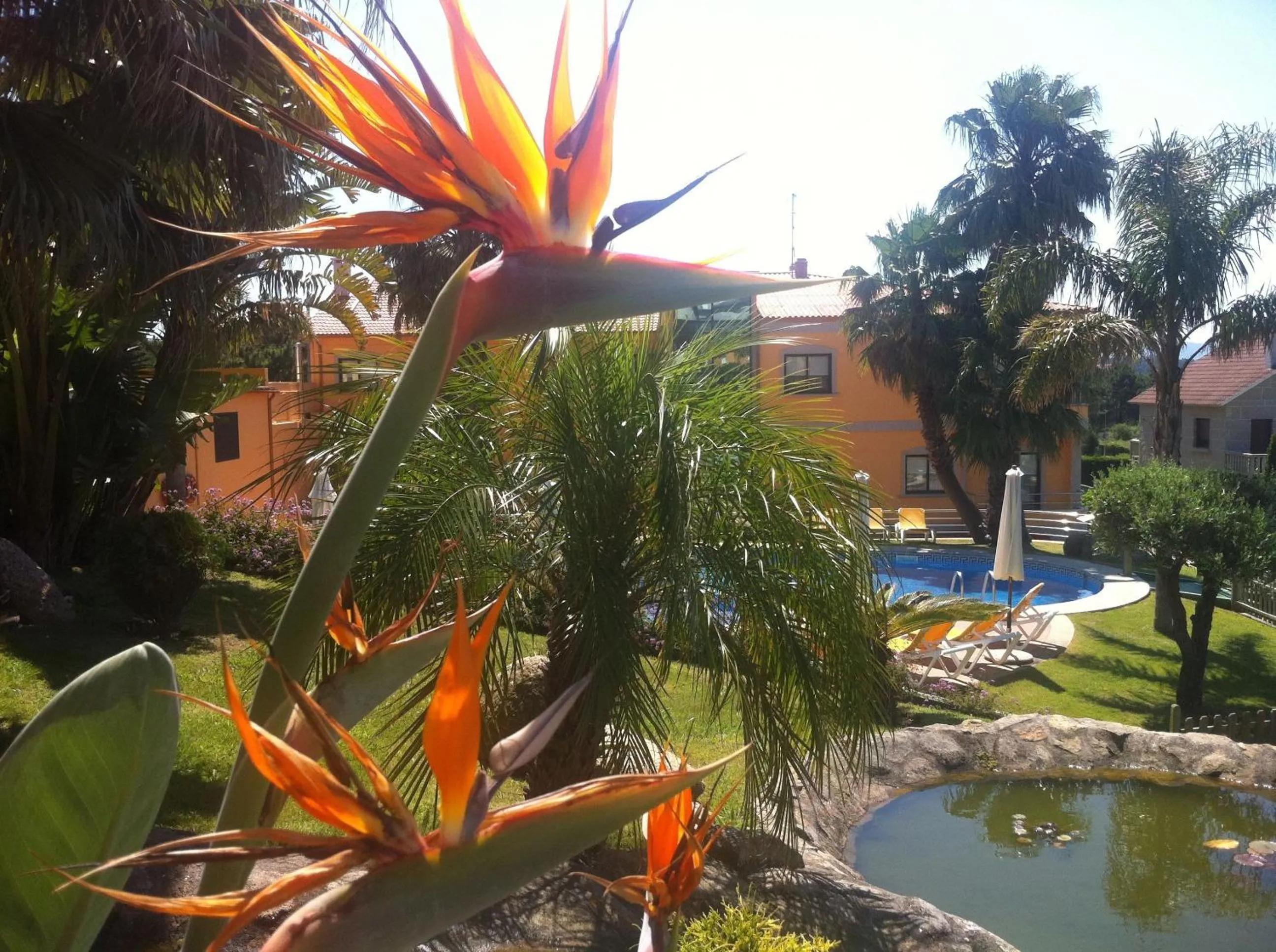 Garden in Apartamentos Atlántico Resort