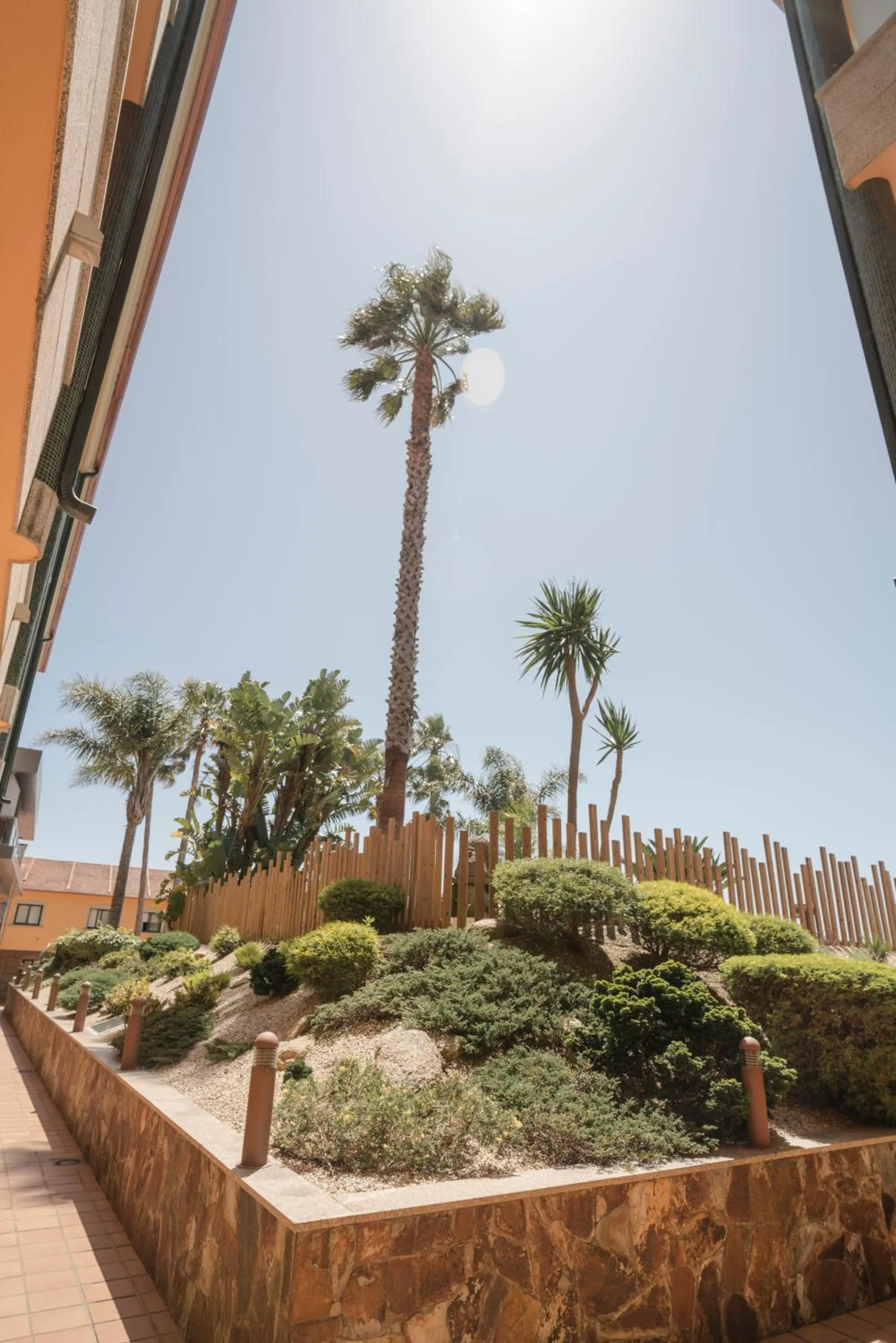 Garden in Apartamentos Atlántico Resort