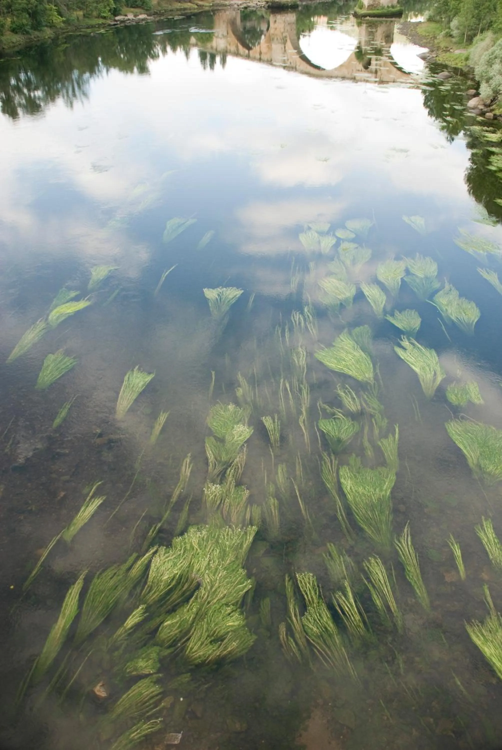 Off site in Carris Cardenal Quevedo