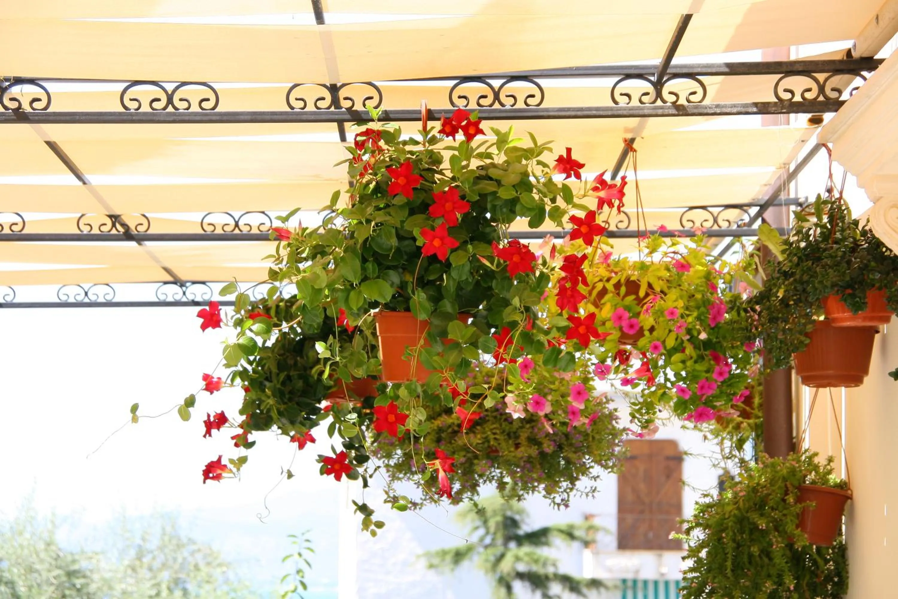 Decorative detail in Hotel Corallo Sperlonga