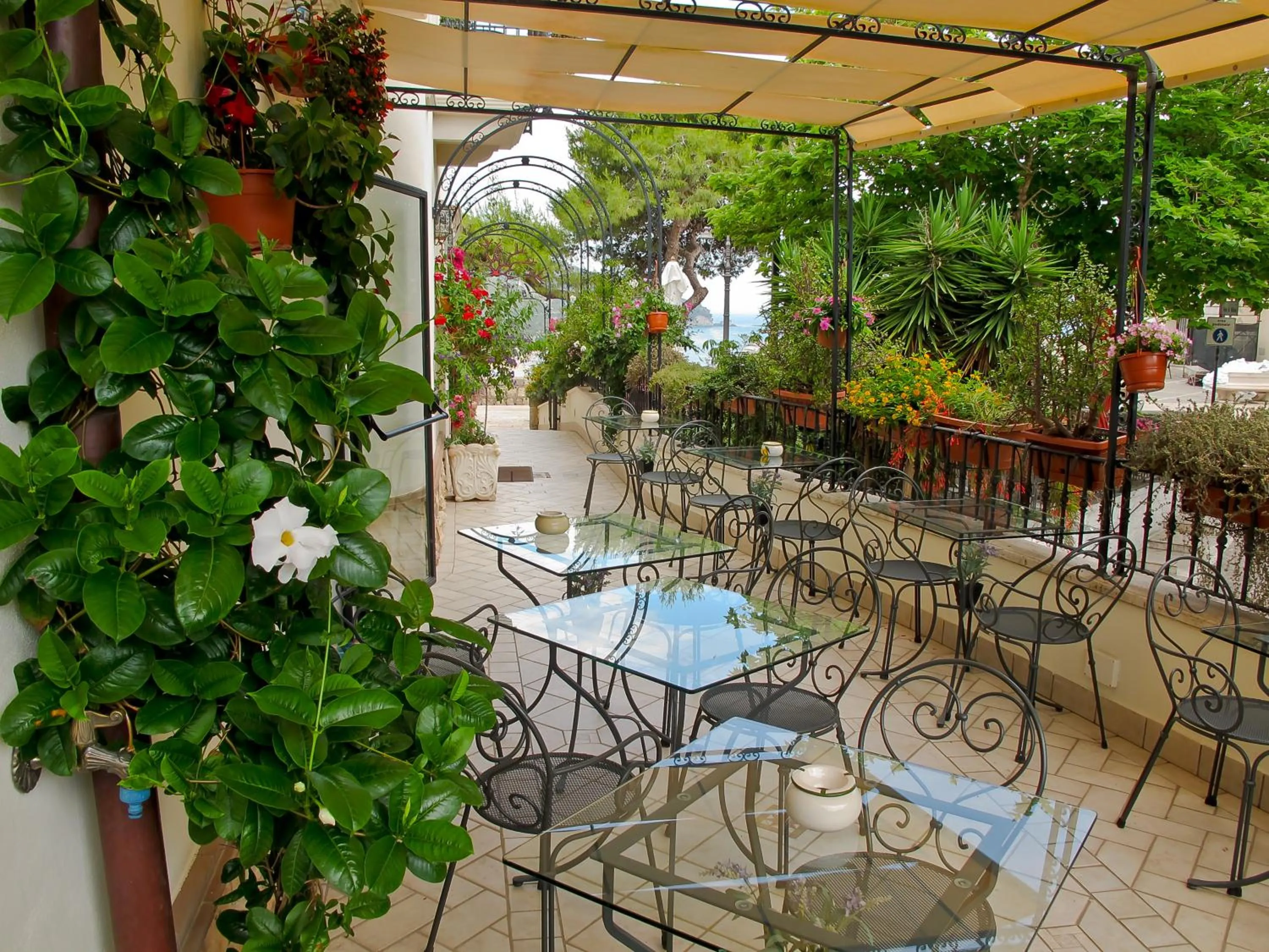 Balcony/Terrace in Hotel Corallo Sperlonga