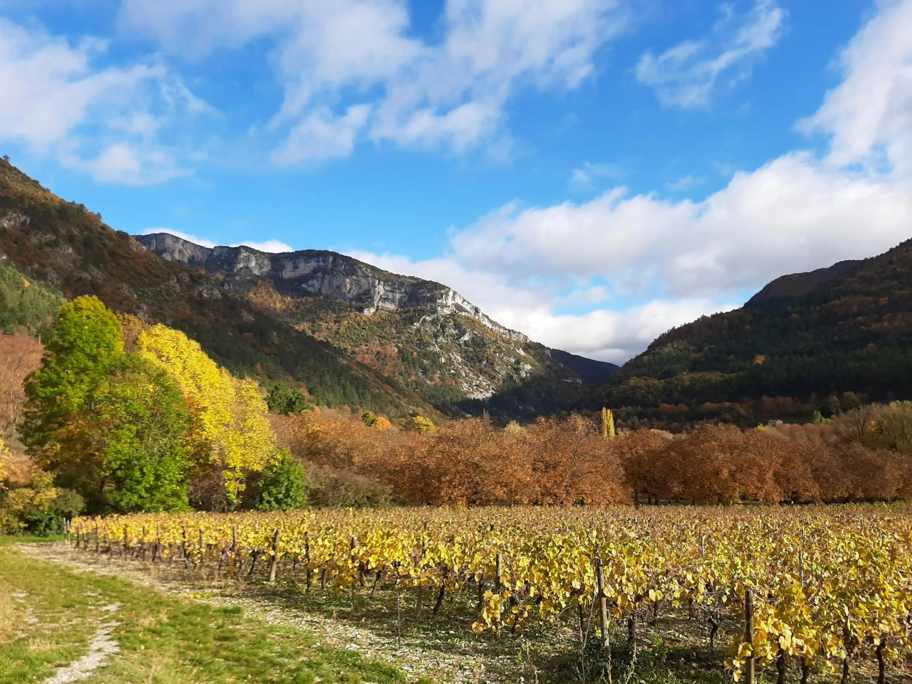 Nearby landmark in Le Sareymond