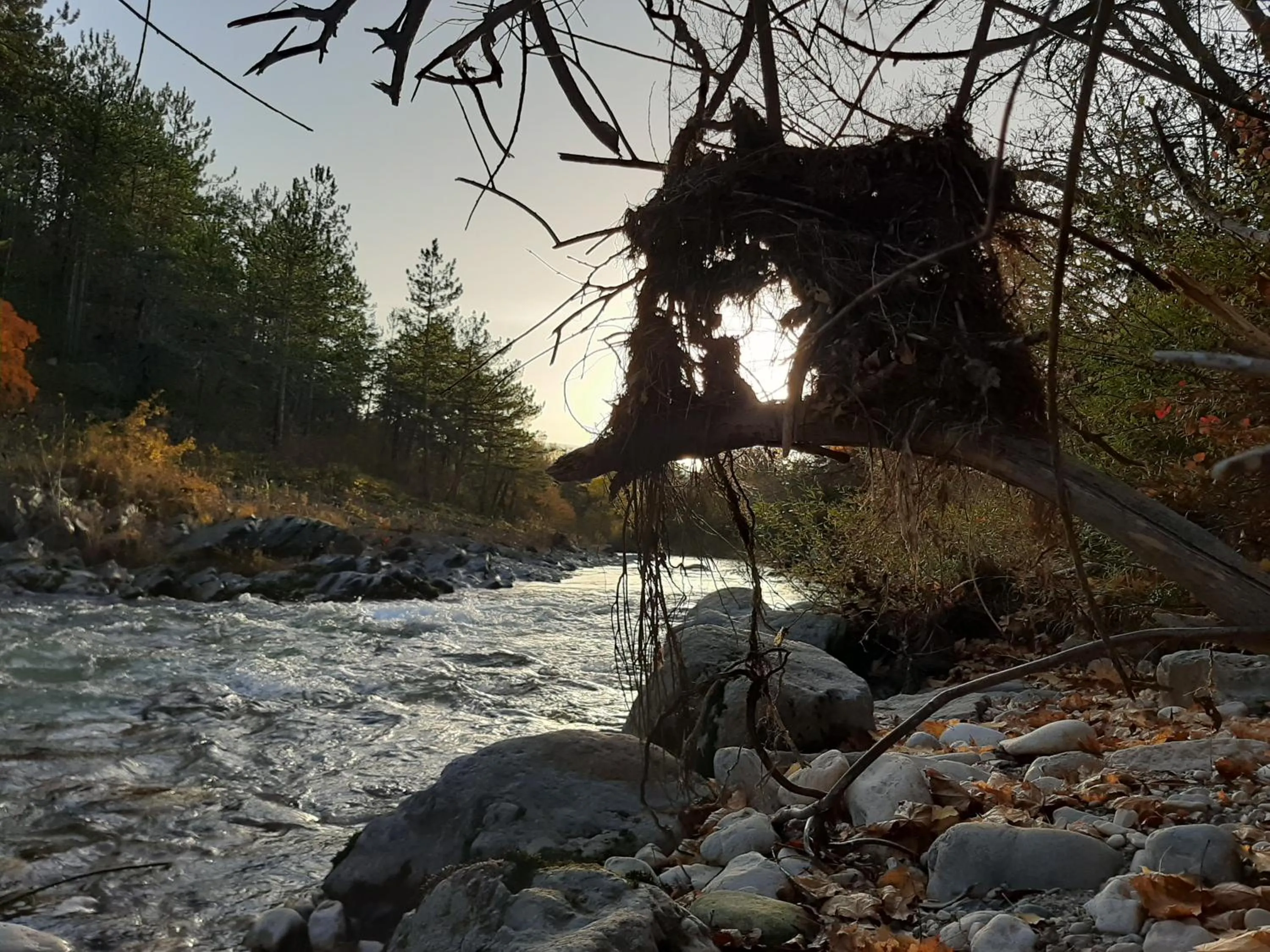 Natural landscape in Le Sareymond