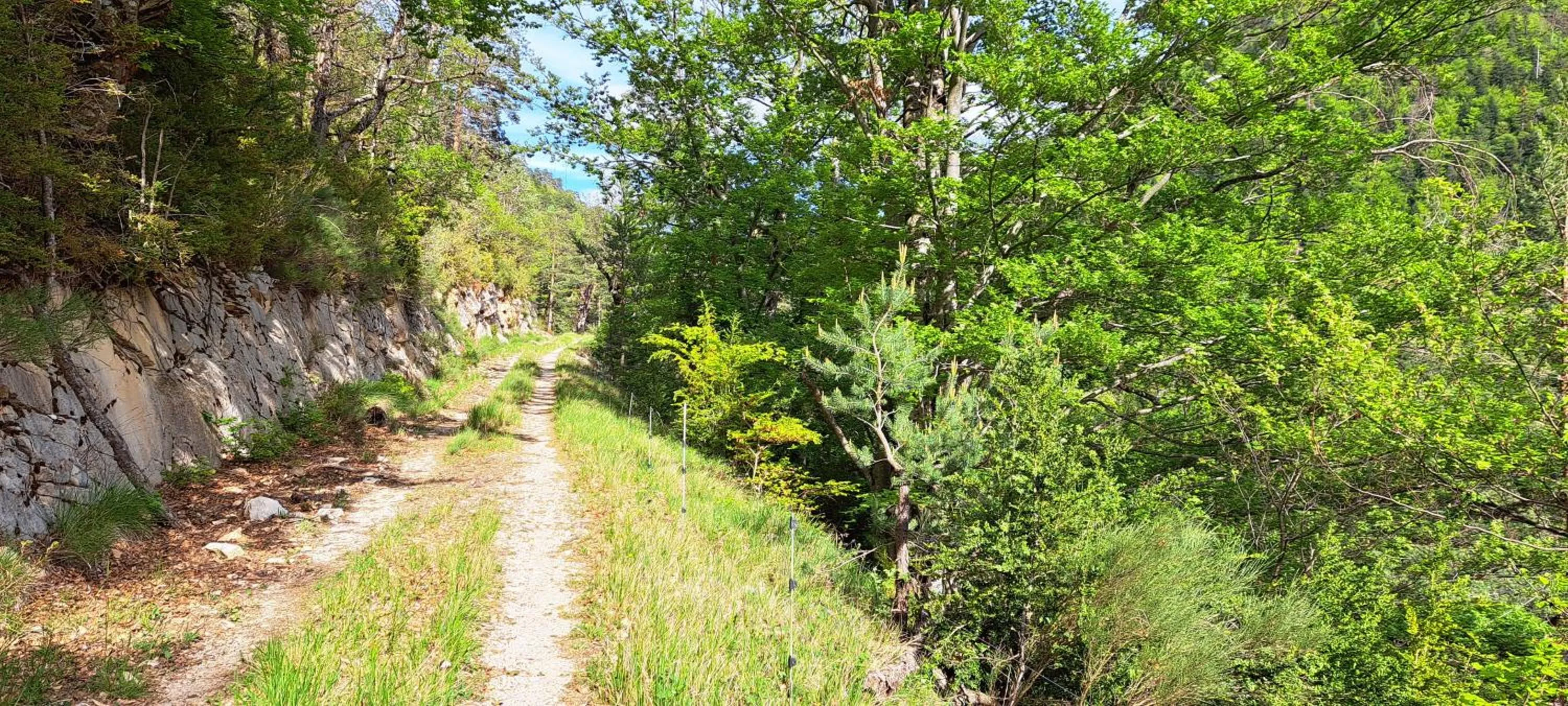 Hiking in Le Sareymond