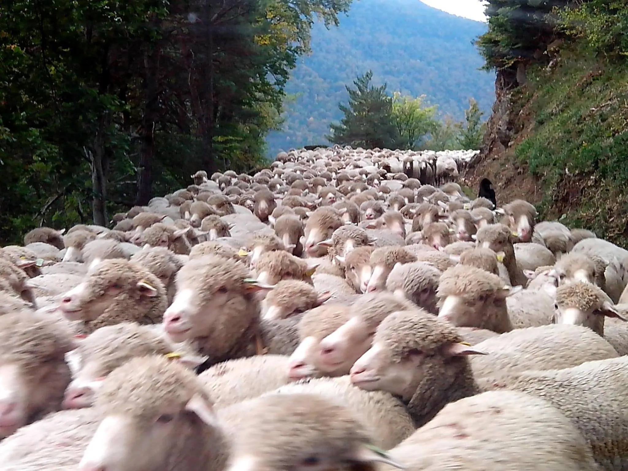 Hiking in Le Sareymond