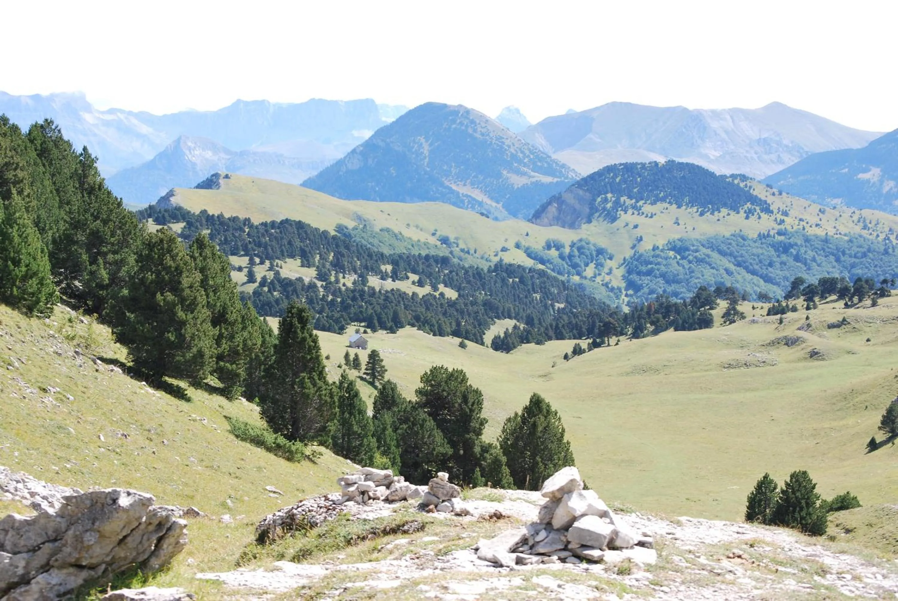 Horse-riding in Le Sareymond