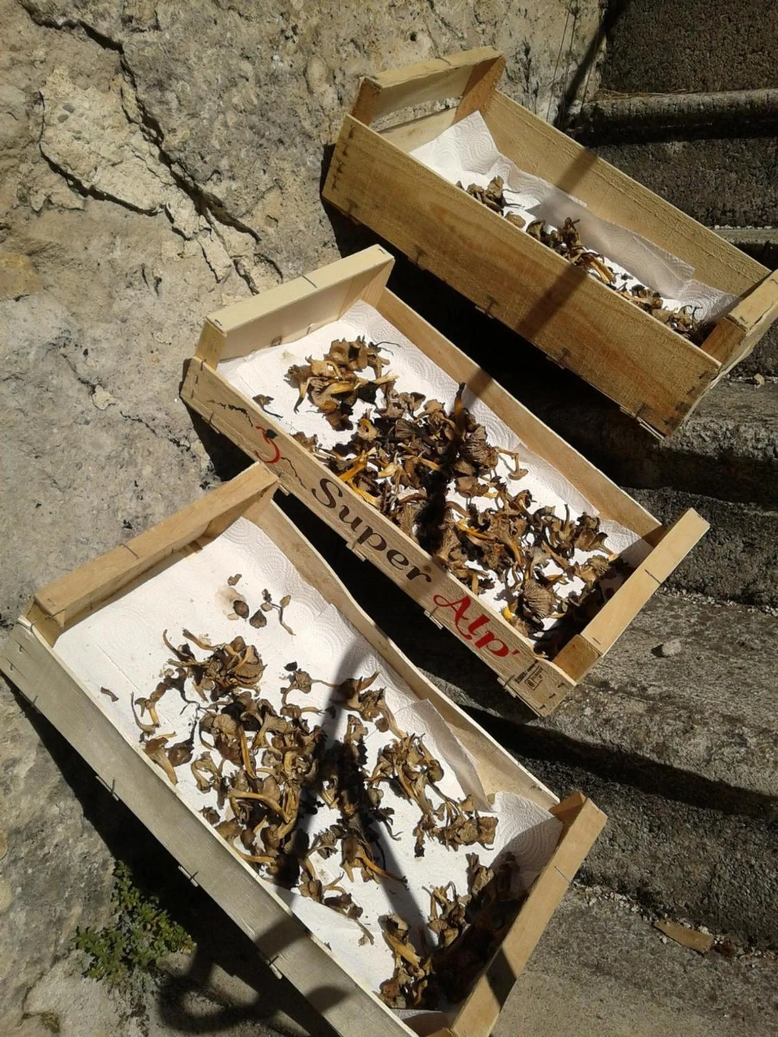 Restaurant/places to eat in Le Sareymond