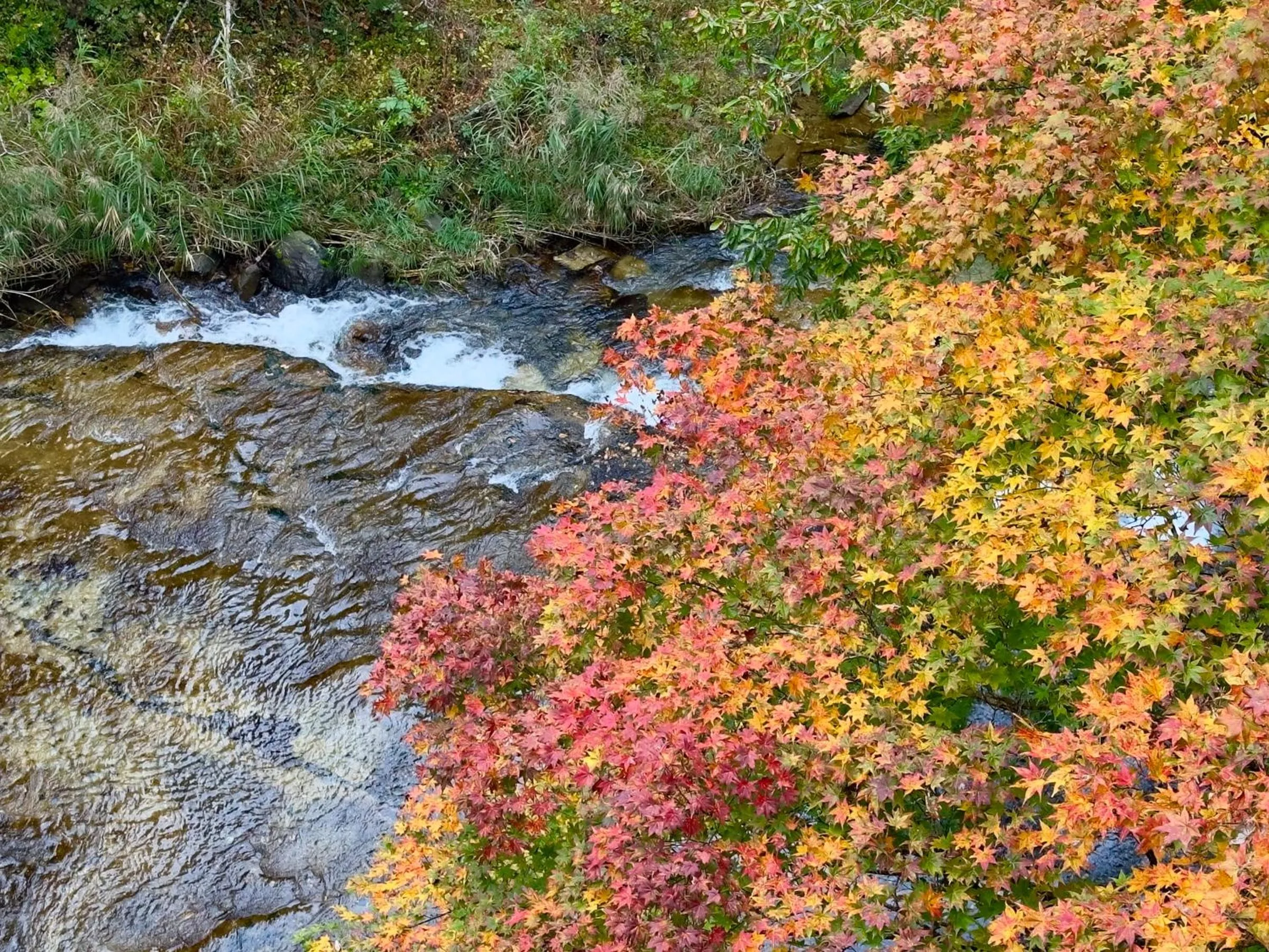 Nearby landmark in Hana to Hana