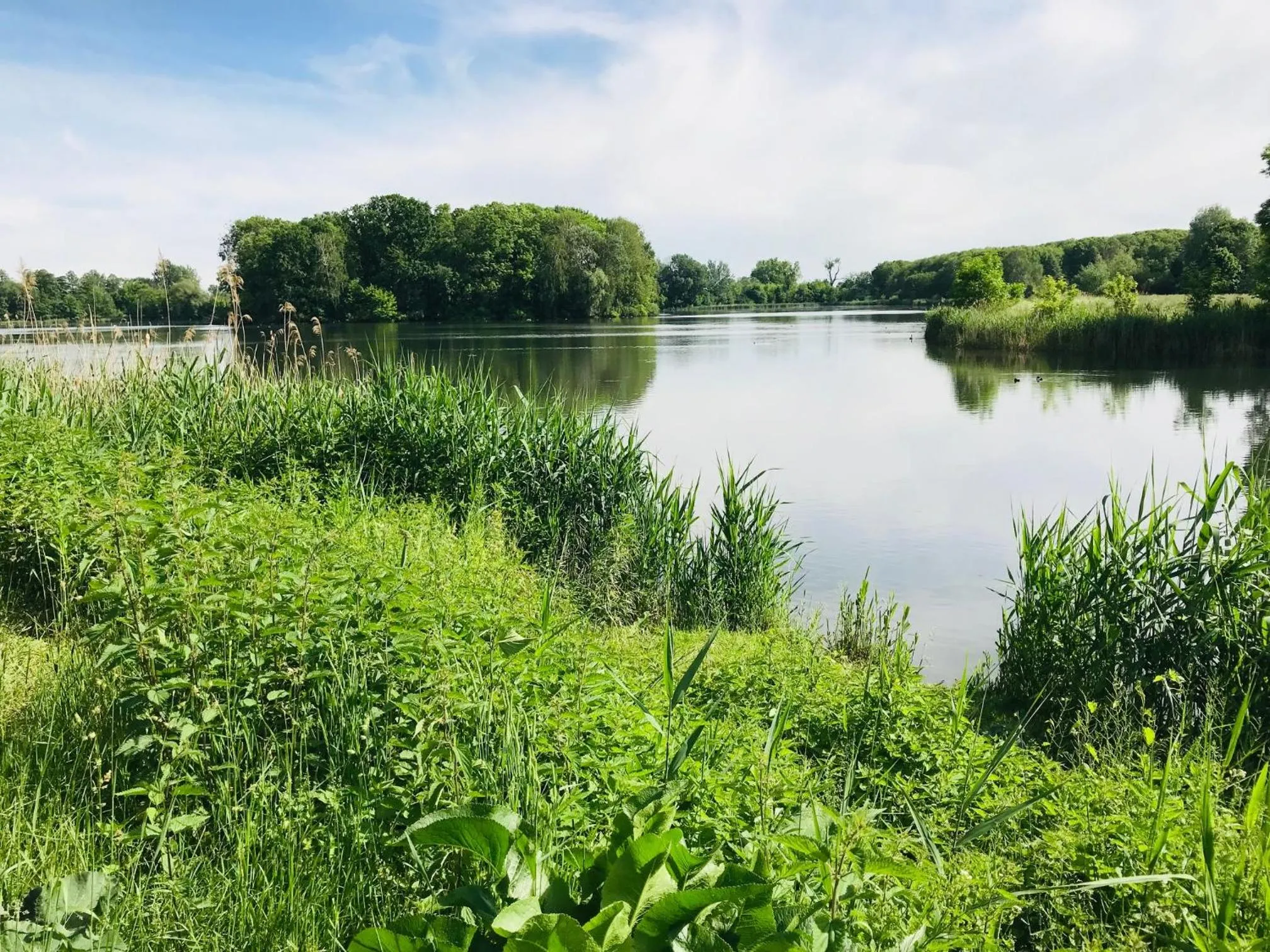 Natural landscape in Green Garden Hotel