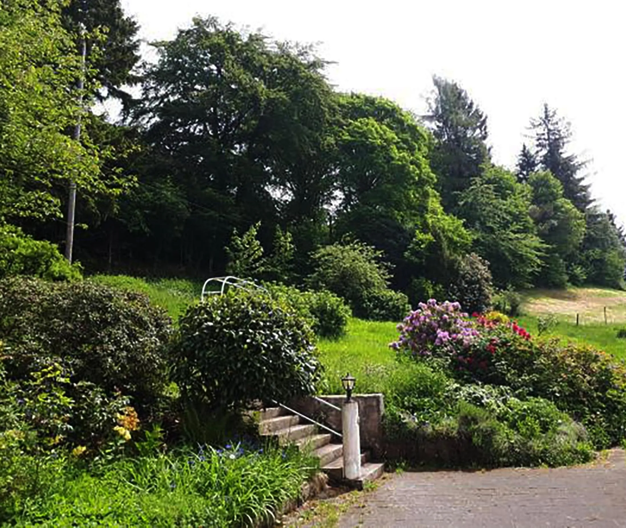 Garden view in Green Corner Nürburg
