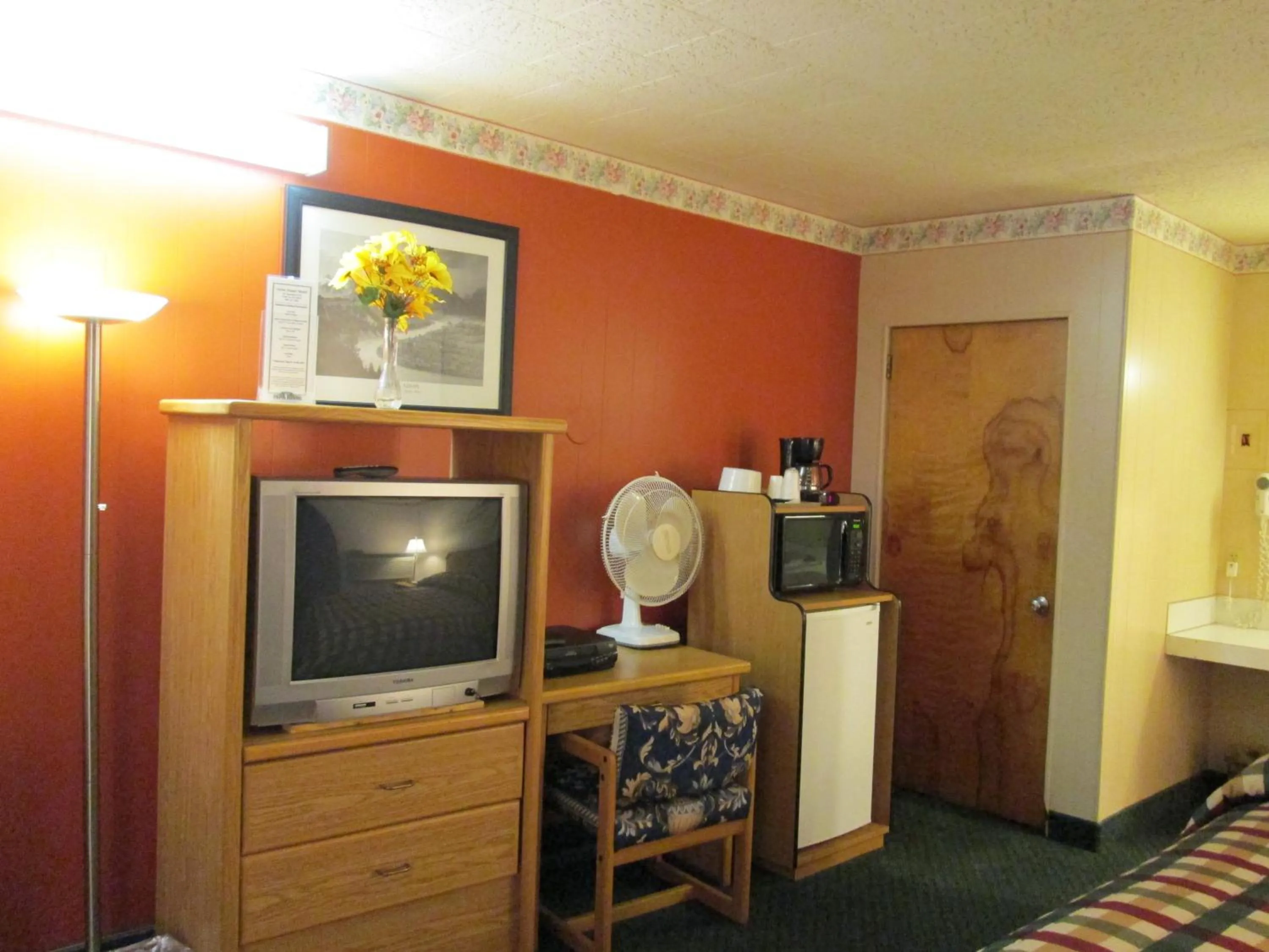 TV and multimedia in Townhouse Motel