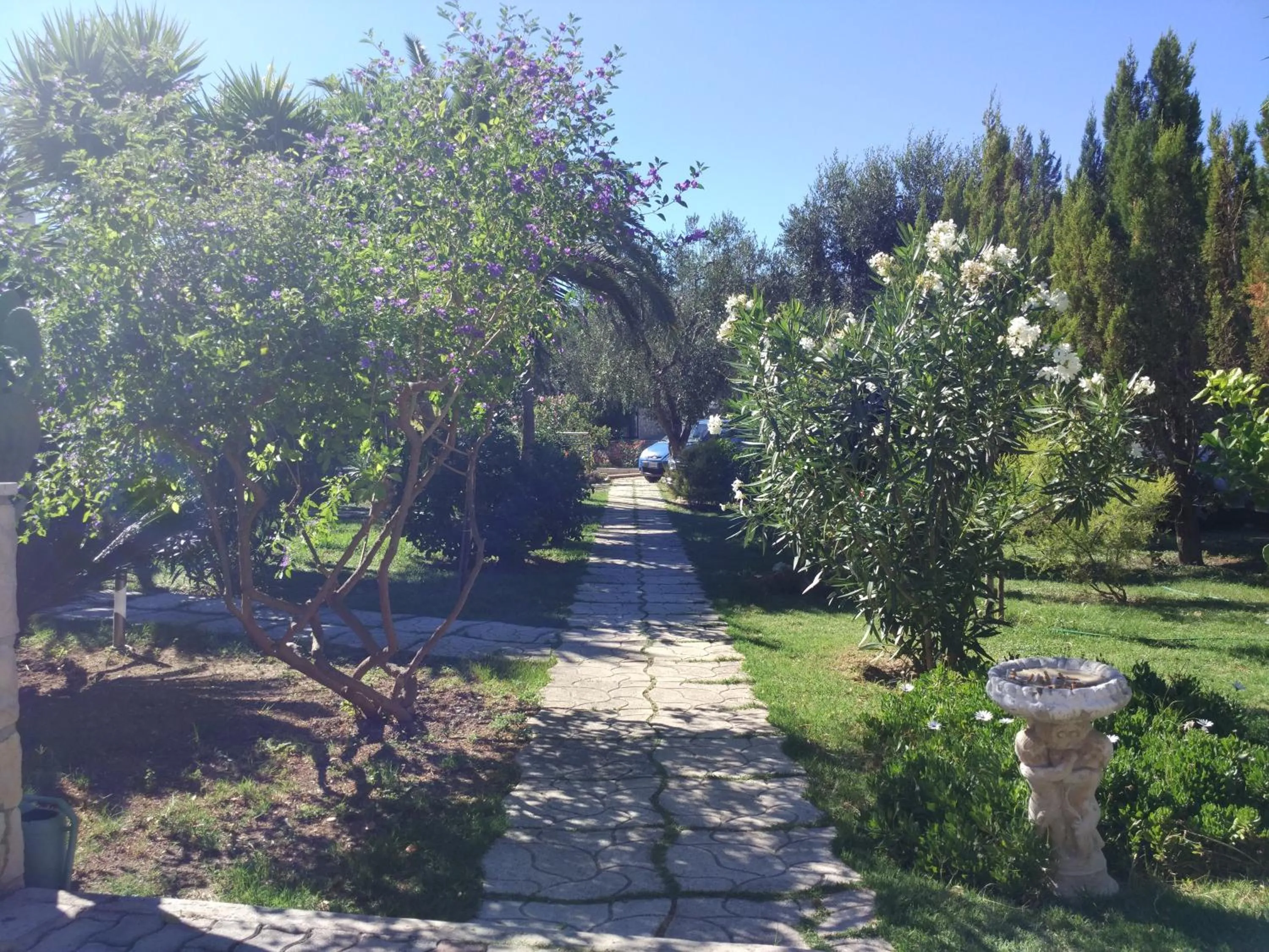 Garden view in B&B Conca del Faro