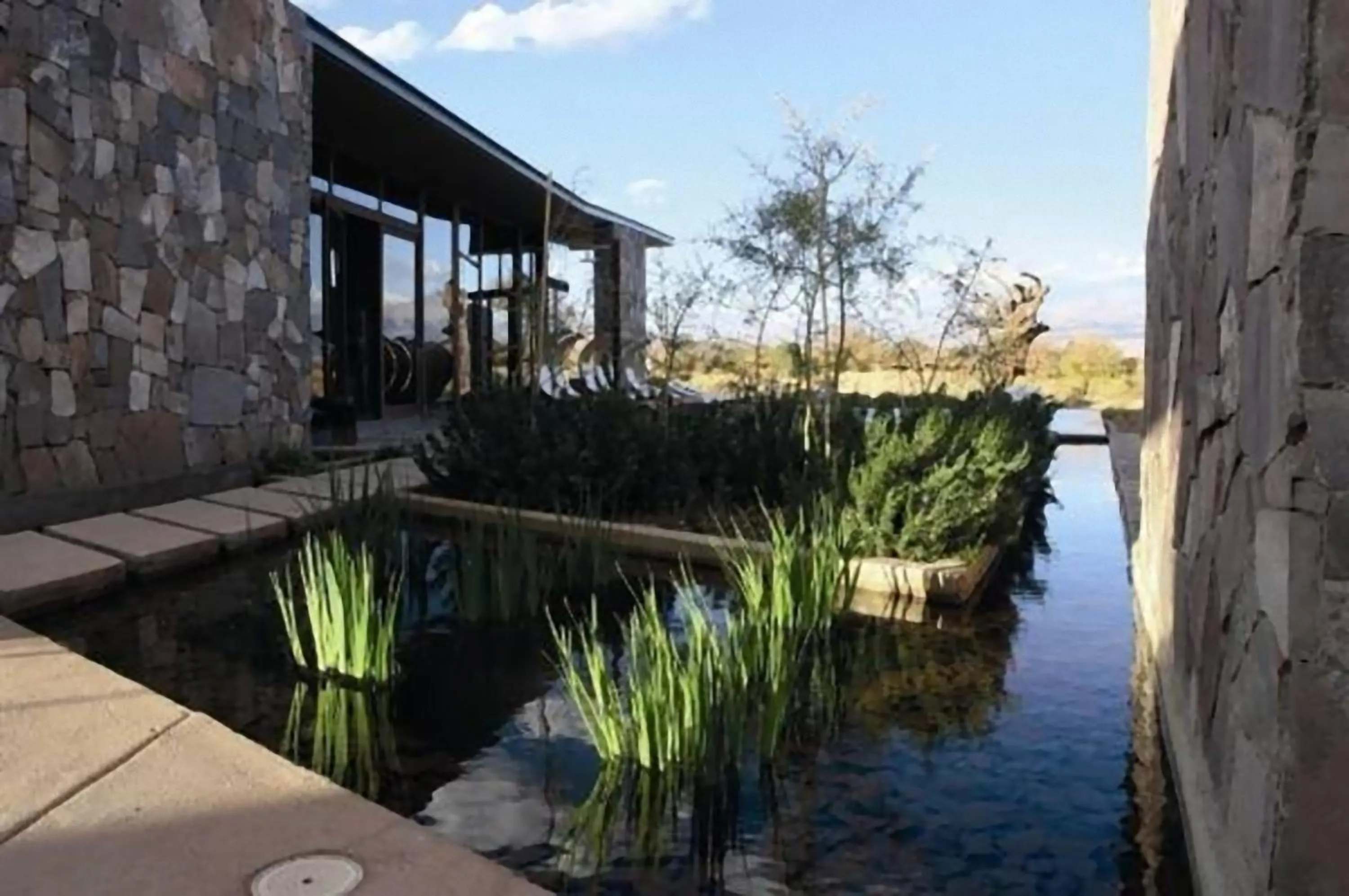 Decorative detail in Tierra Atacama