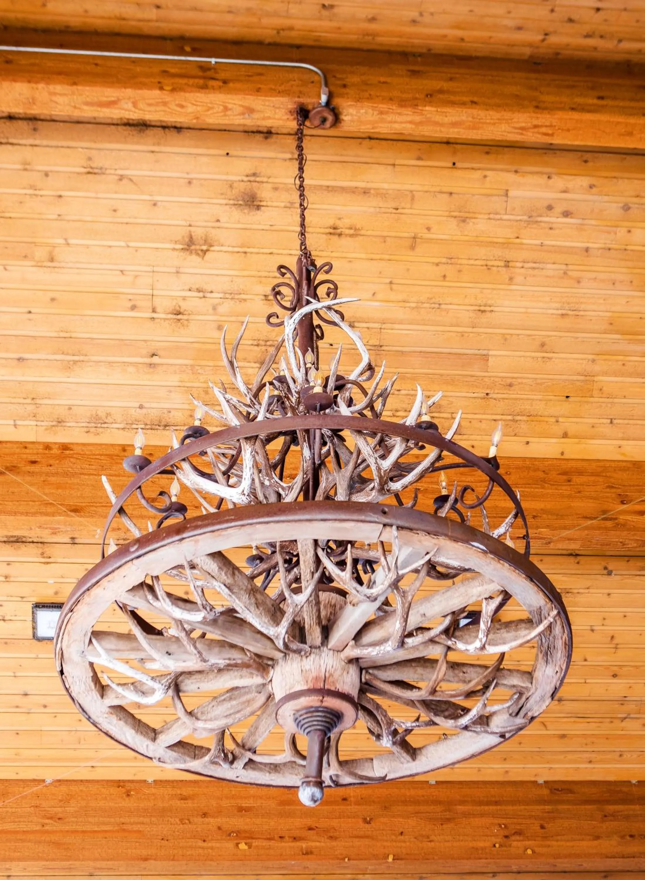 Decorative detail in Flying Saddle Resort and Steak House