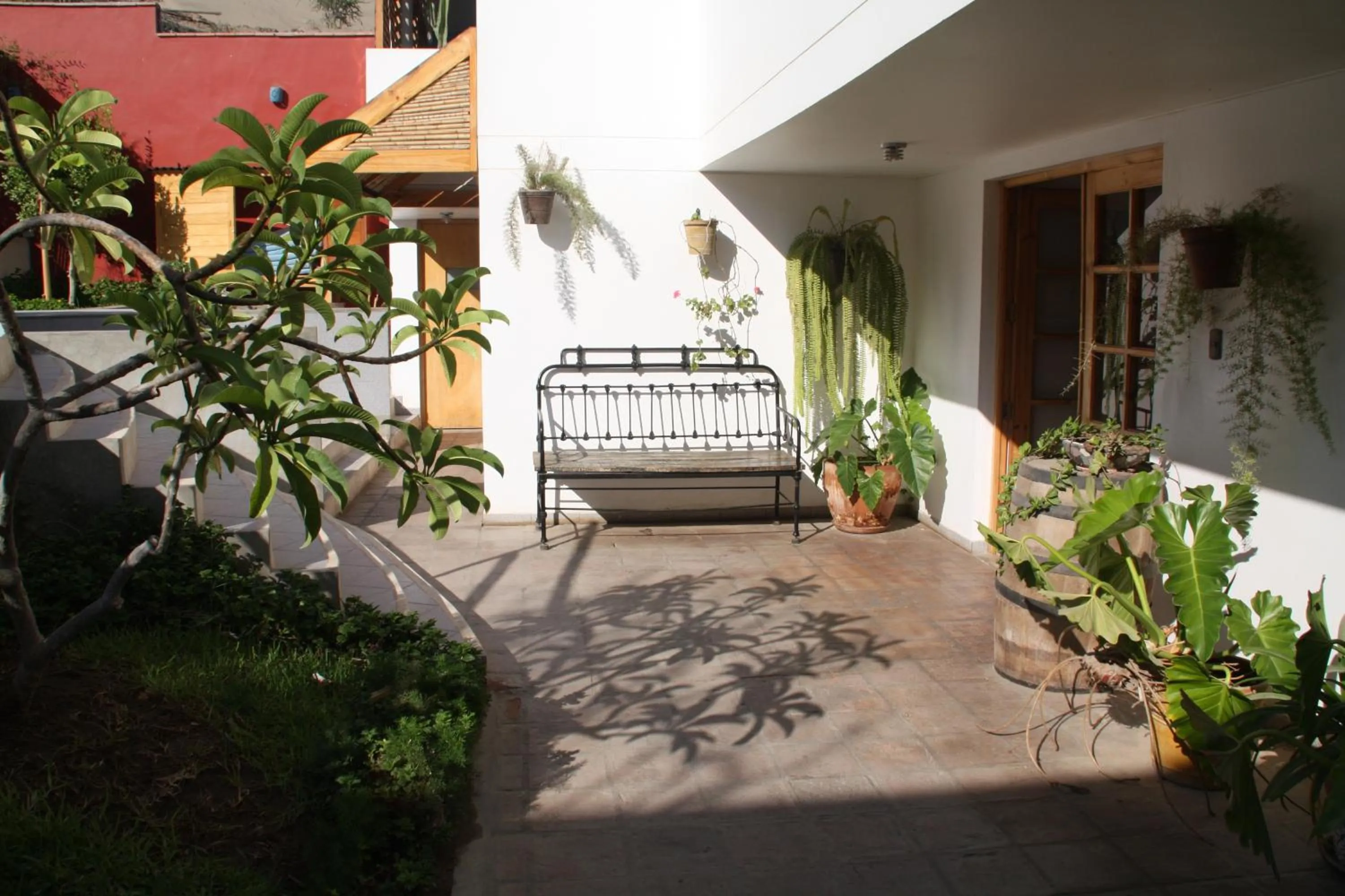 Garden in Hotel Villa Jazmin