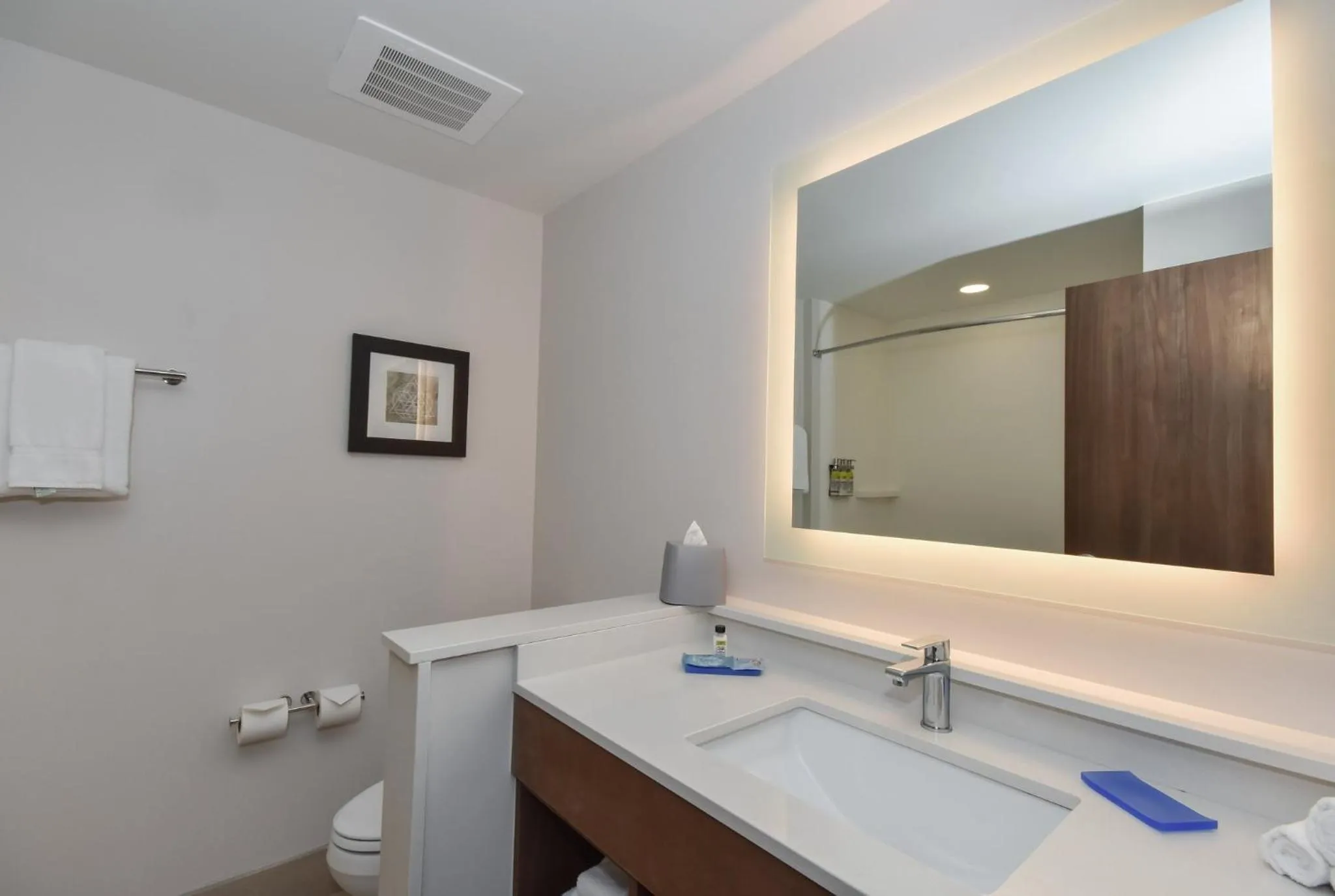 Bathroom in Holiday Inn Express & Suites Charlotte - Ballantyne by IHG