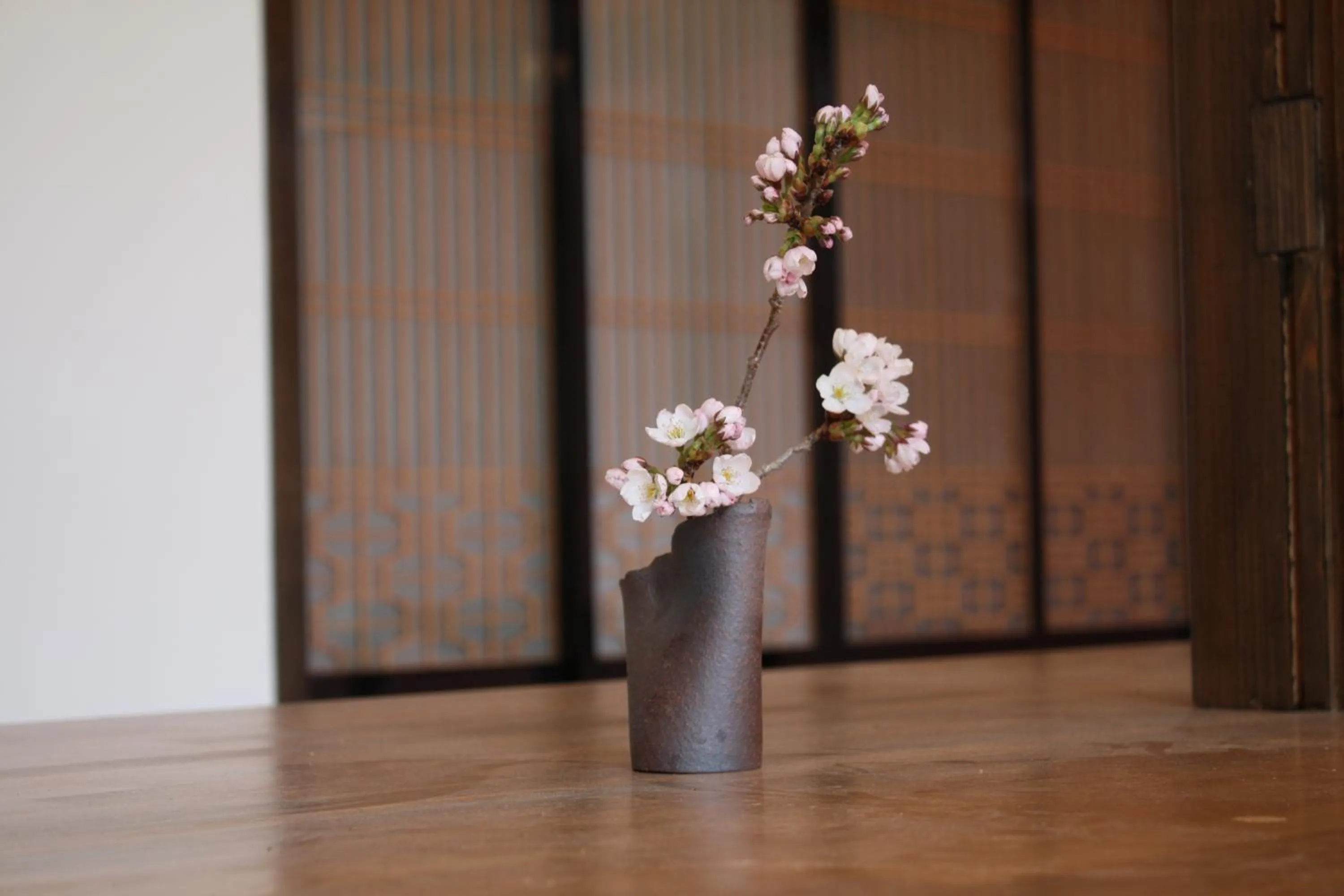 Communal lounge/ TV room in HOSTEL MICHIKUSA-YA