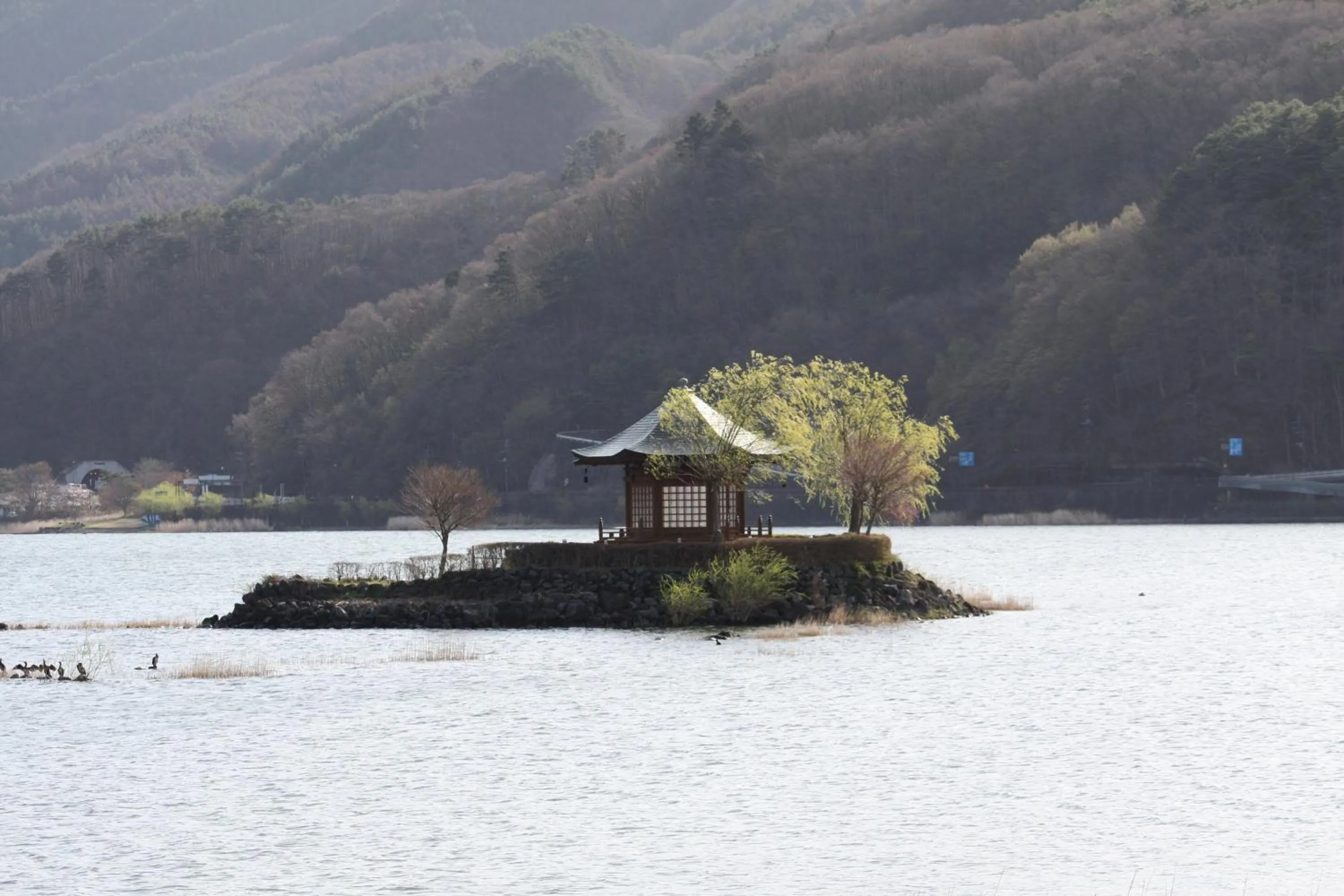 Nearby landmark in HOSTEL MICHIKUSA-YA