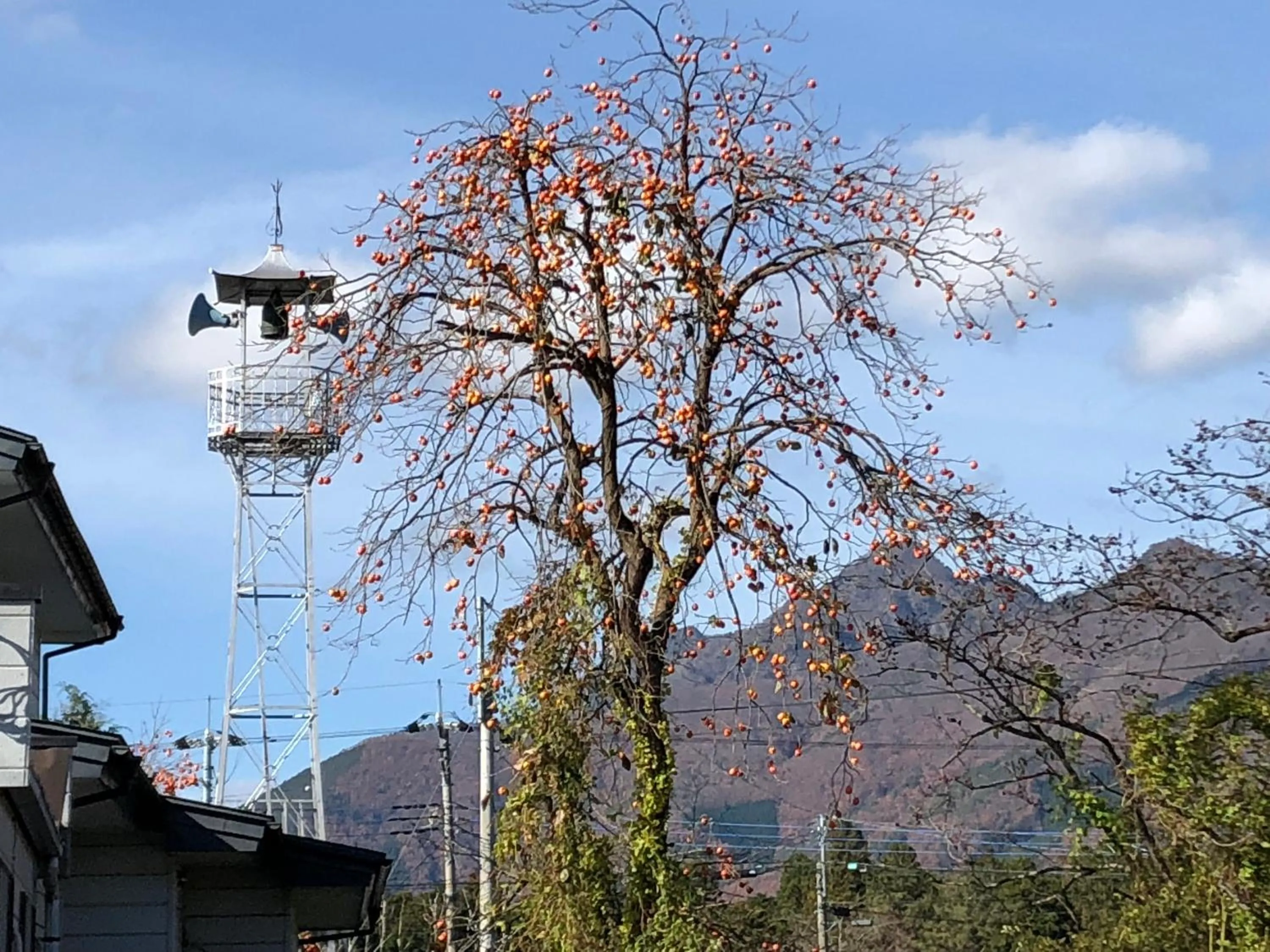 Property building in HOSTEL MICHIKUSA-YA