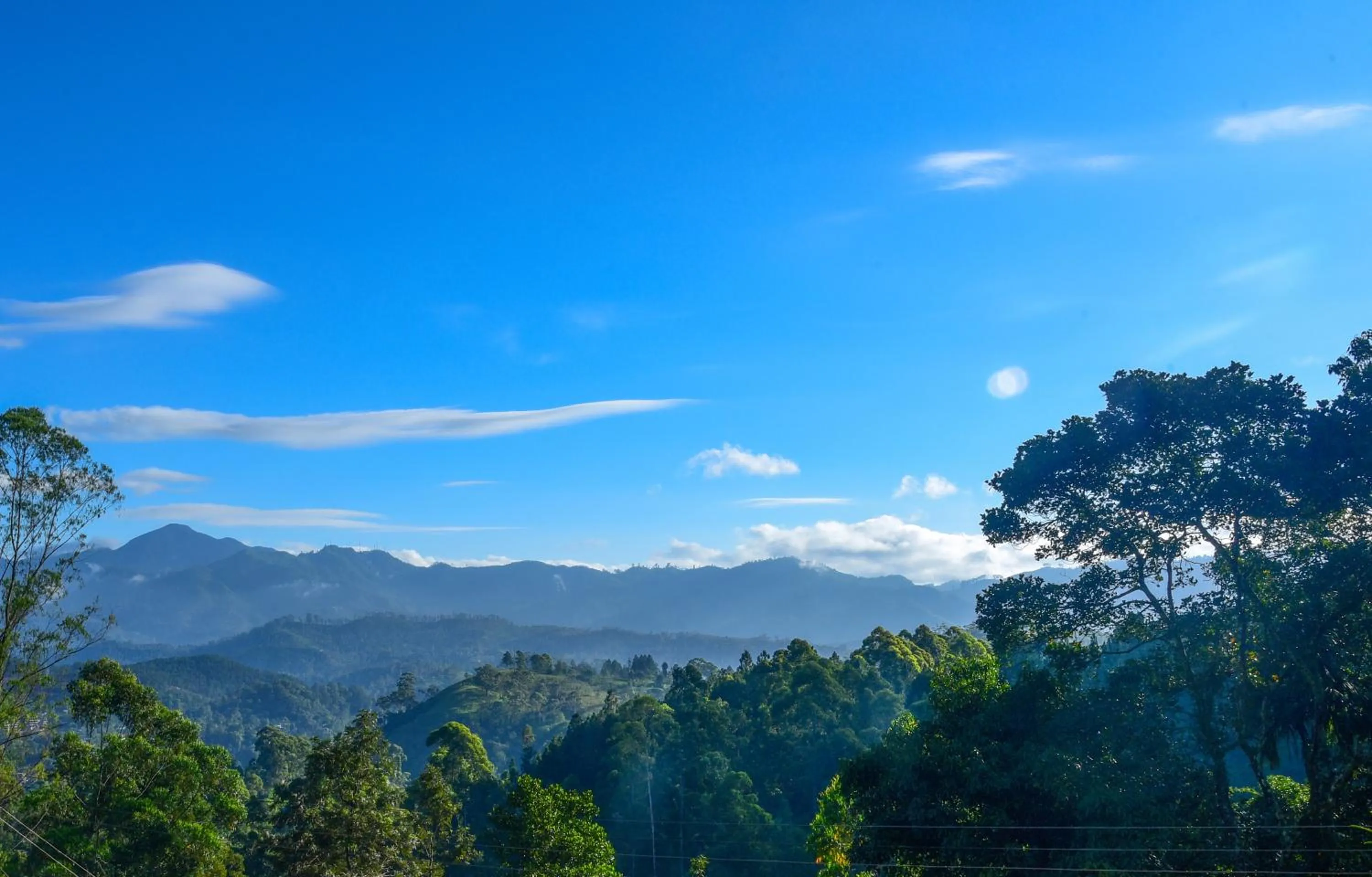 Restaurant/places to eat in Ella Nature Life Guest & Resturant