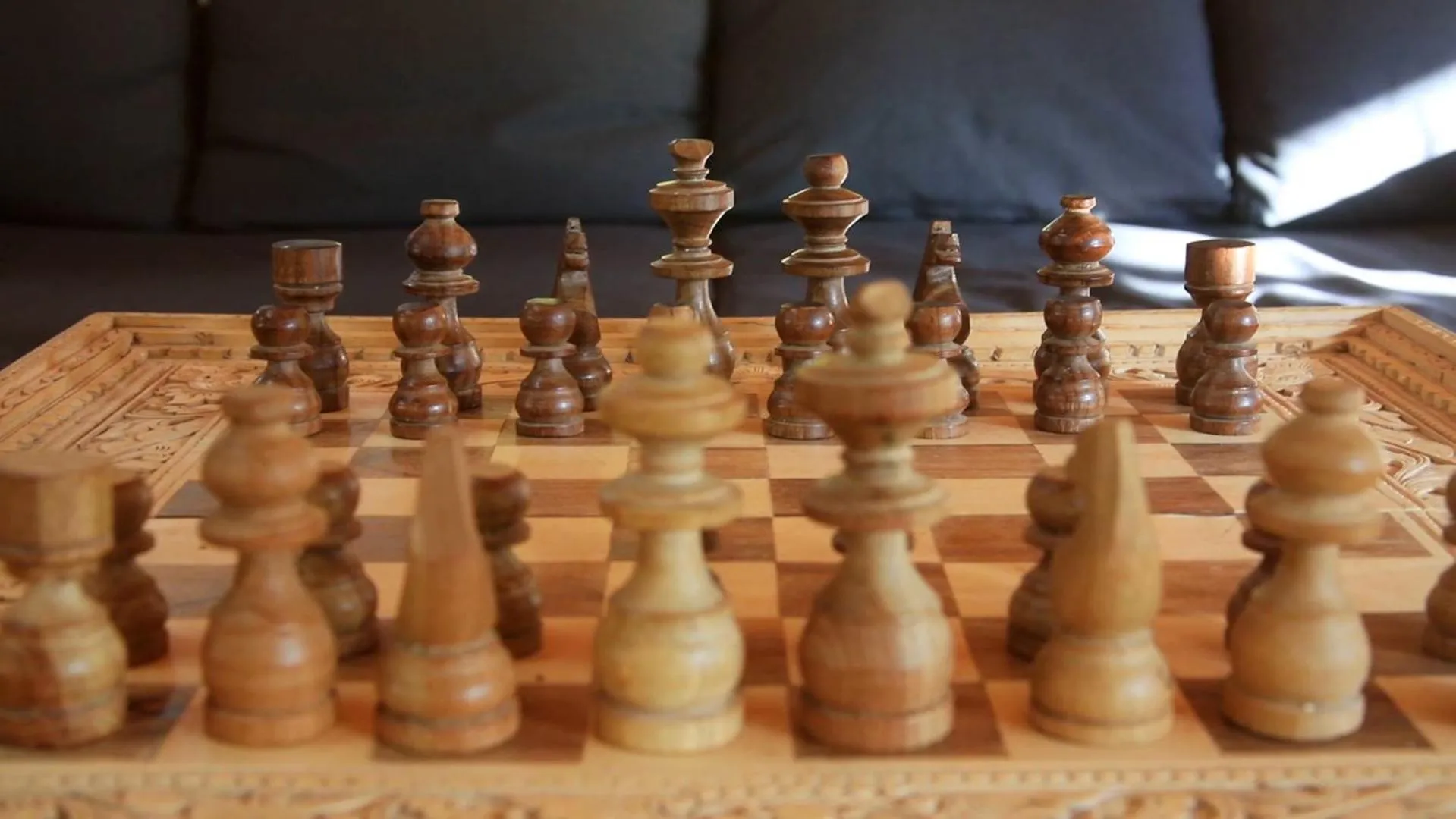 Communal lounge/ TV room in Chambers Wildlife Rainforest Lodges