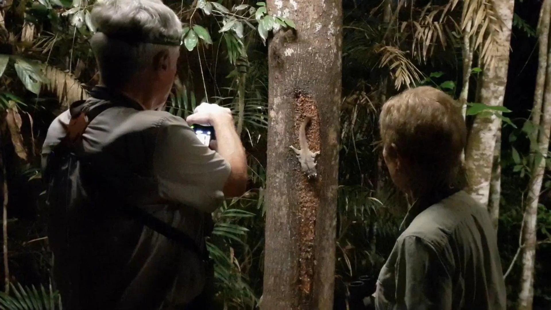 Natural landscape in Chambers Wildlife Rainforest Lodges