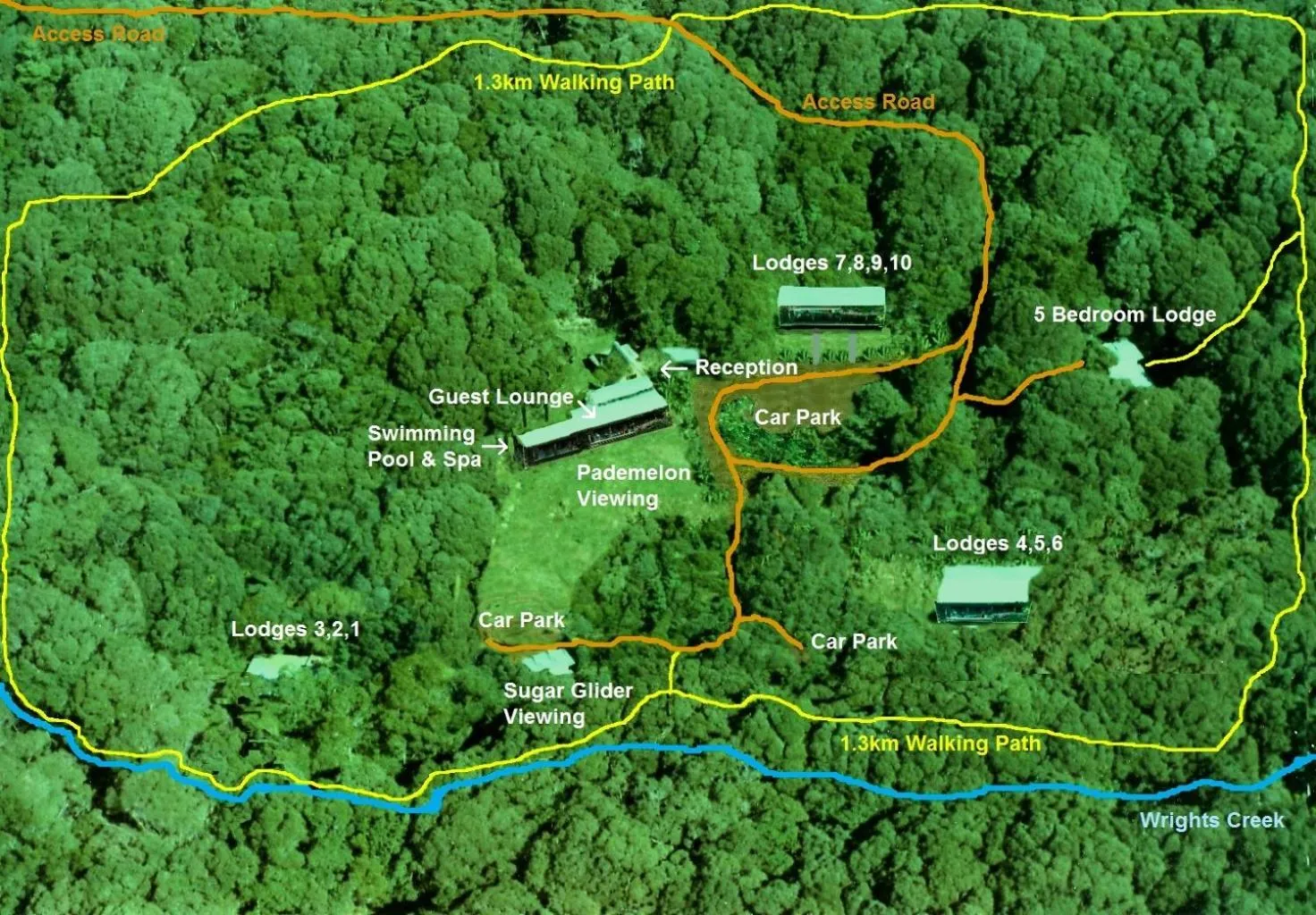 Bird's eye view in Chambers Wildlife Rainforest Lodges