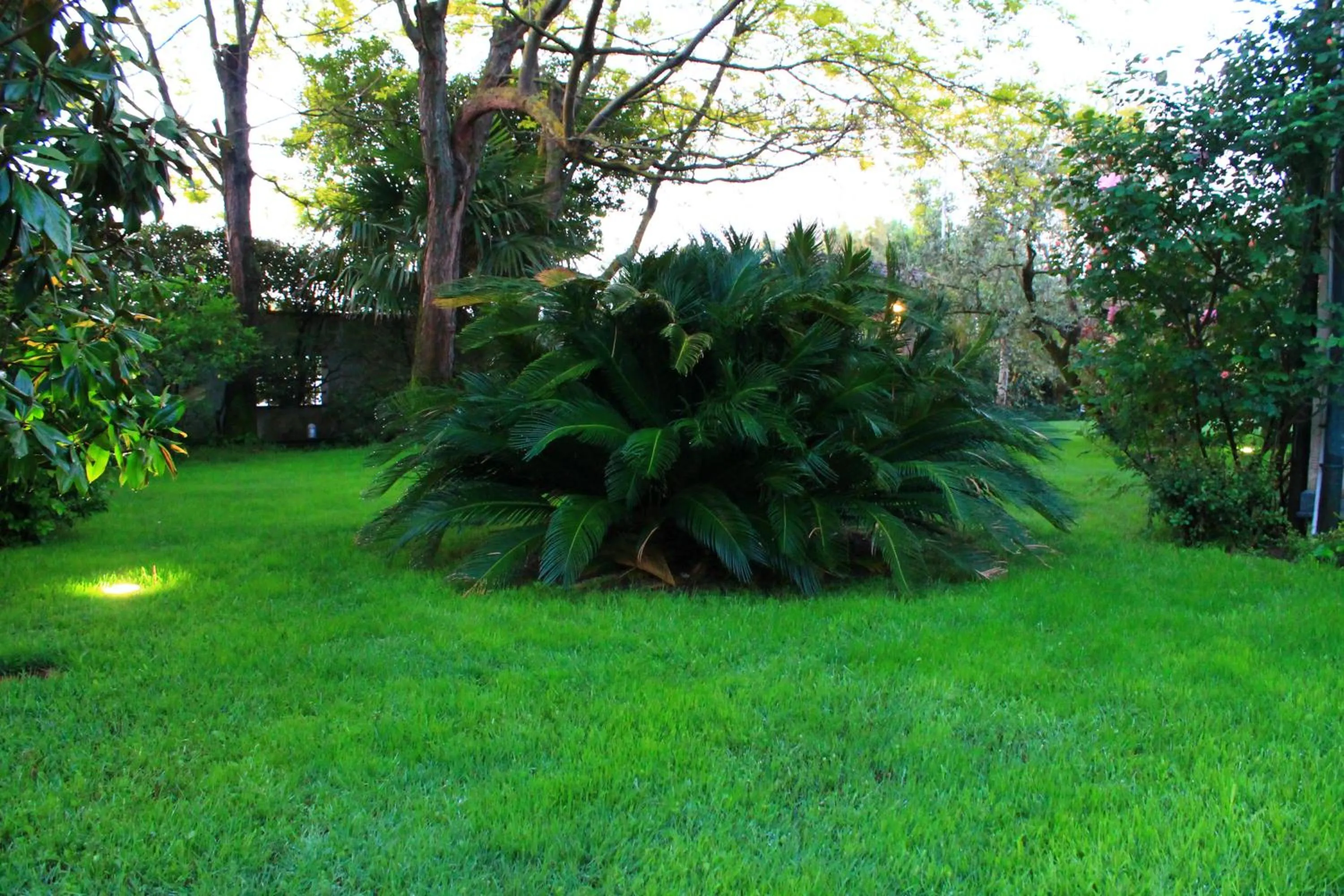 Garden in B&BLaTosca