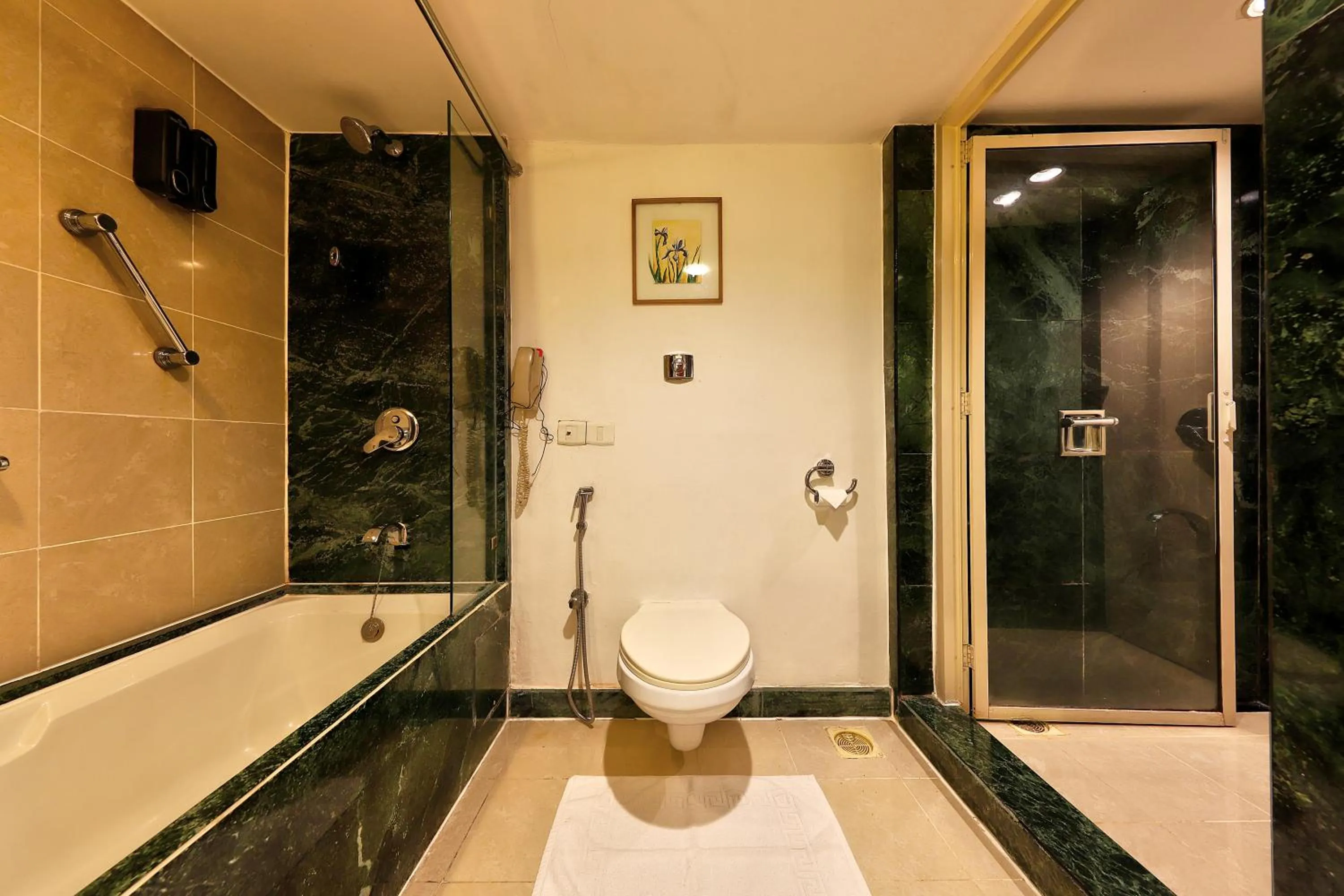 Toilet in The Central Park