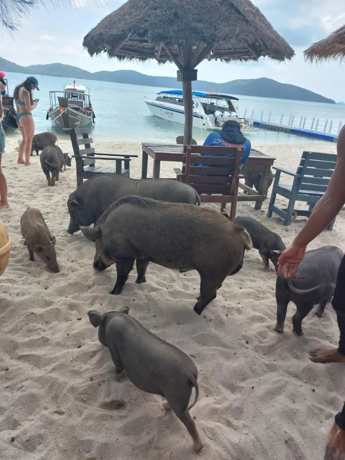 Bonny Hotel 4 Floors No Elevator