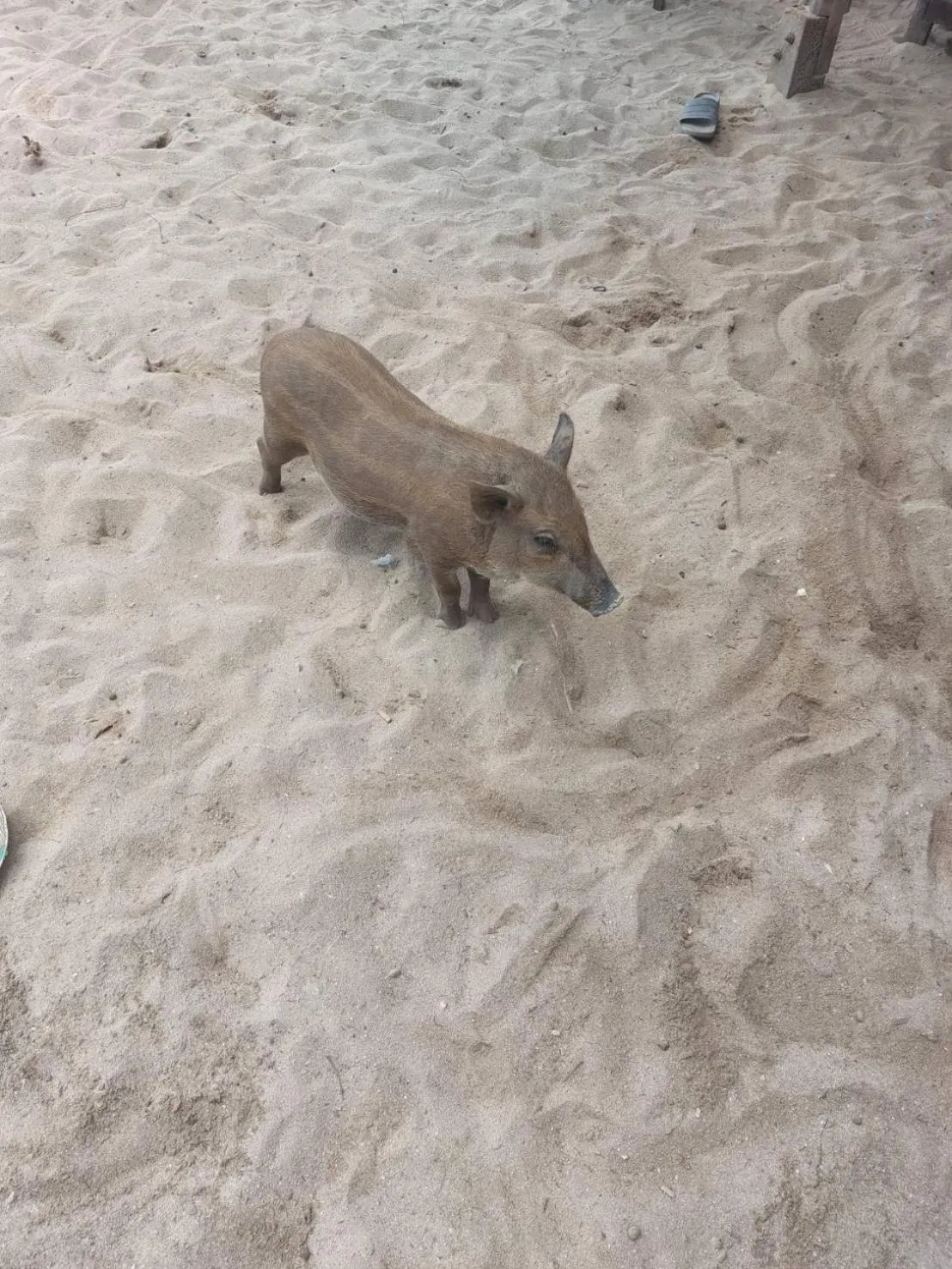 Bonny Hotel 4 Floors No Elevator