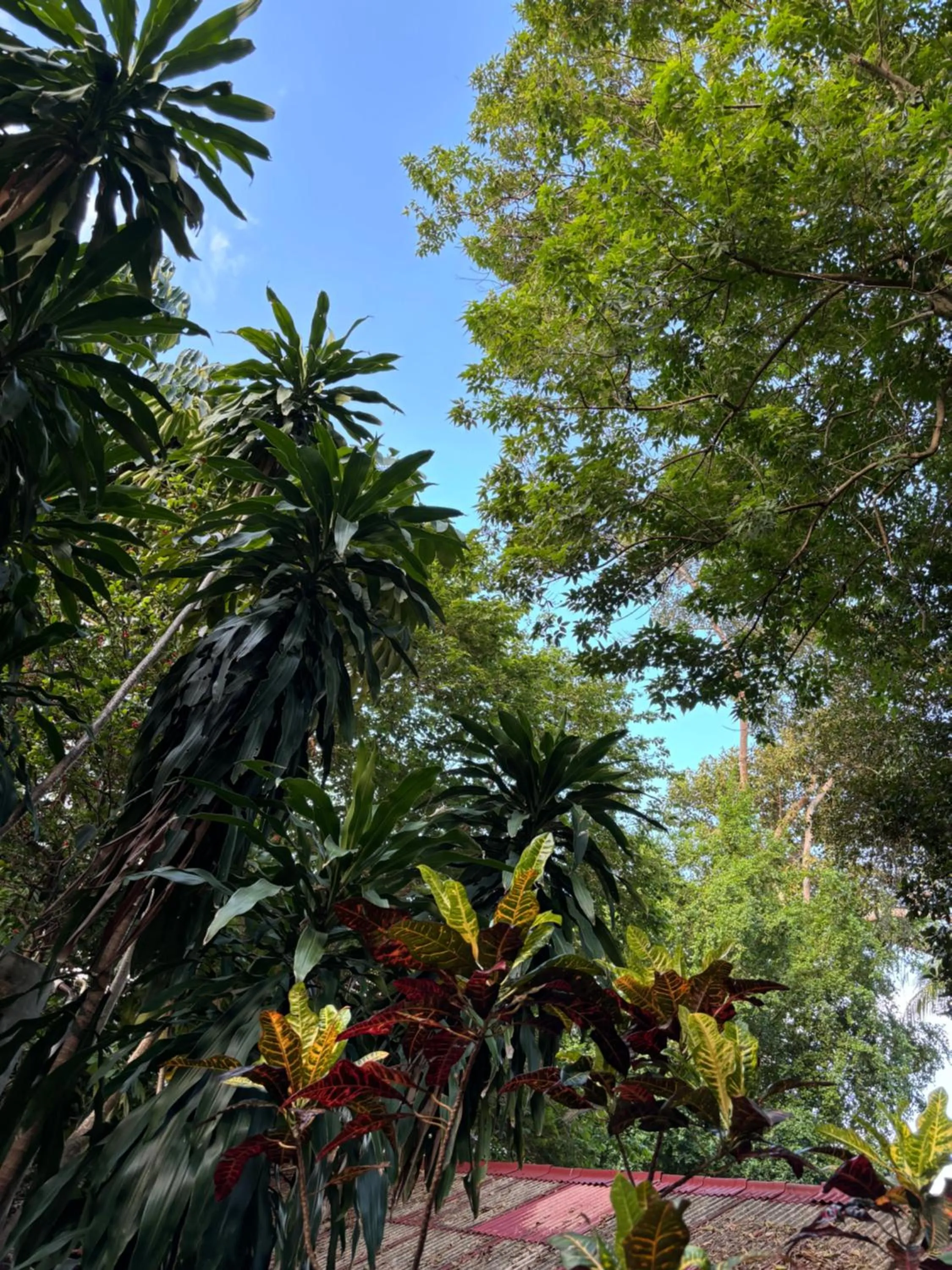 Bonny Hotel 4 Floors No Elevator