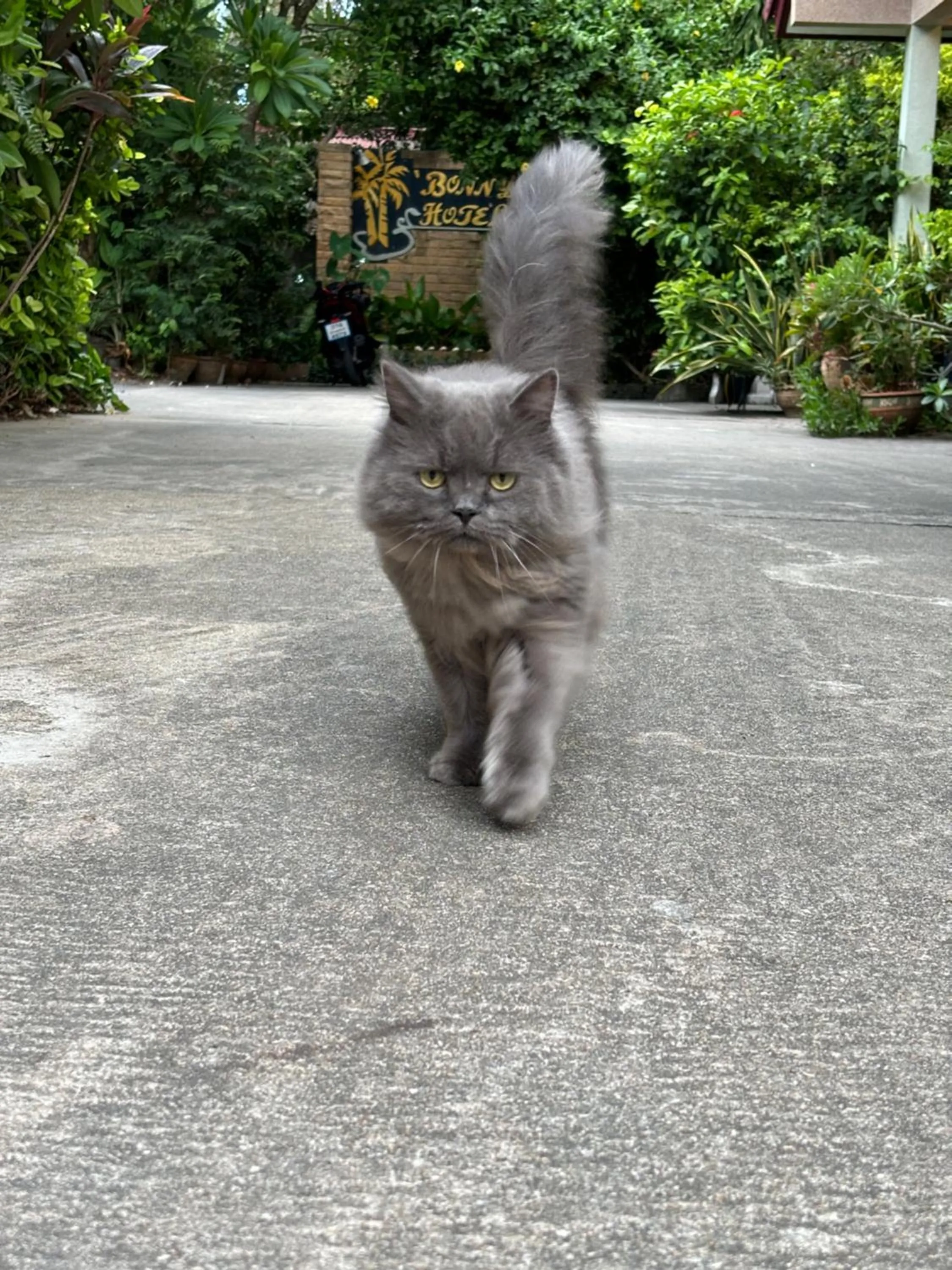 Bonny Hotel 4 Floors No Elevator