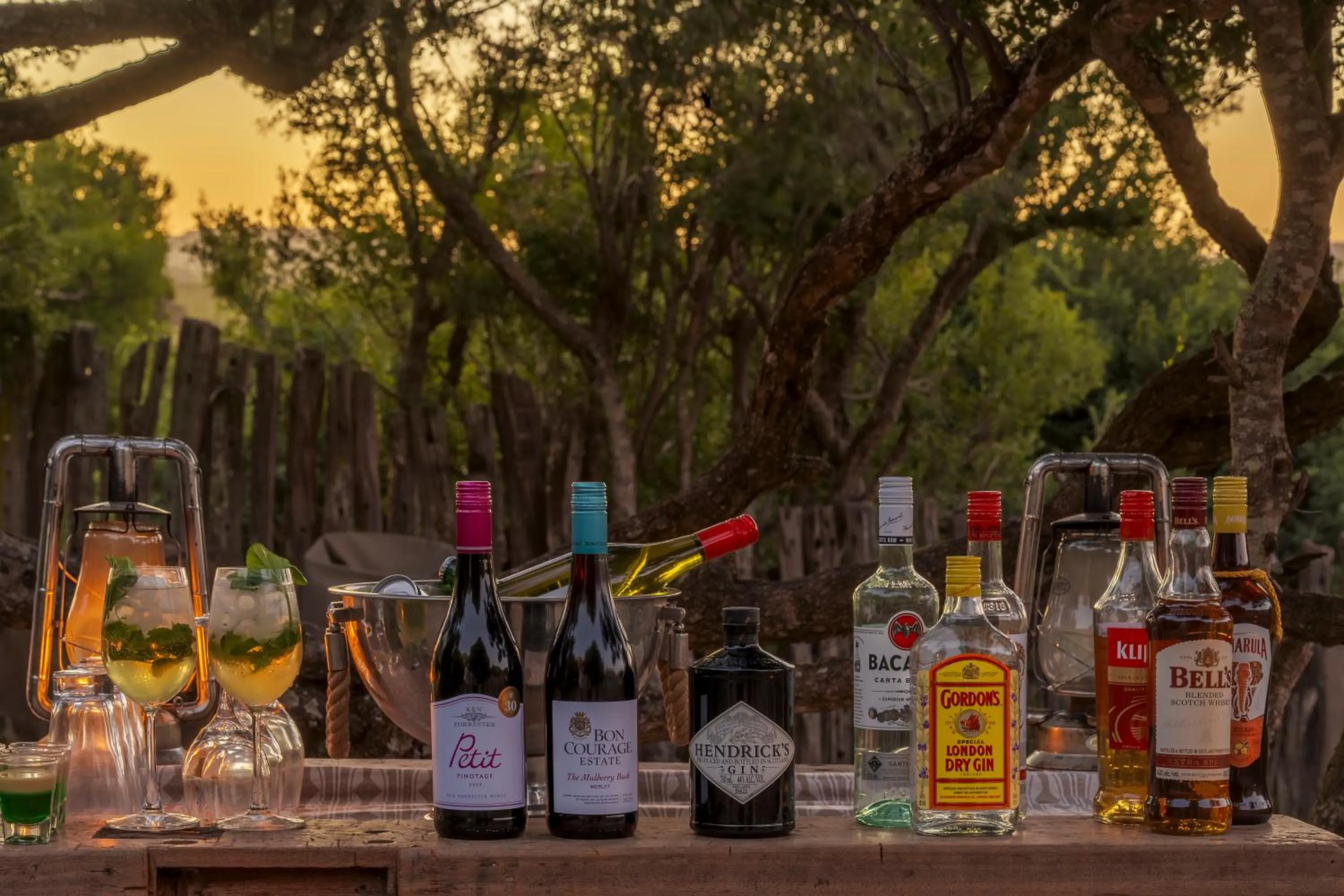 Natural landscape in HillsNek Safari Camp – Amakhala Game Reserve