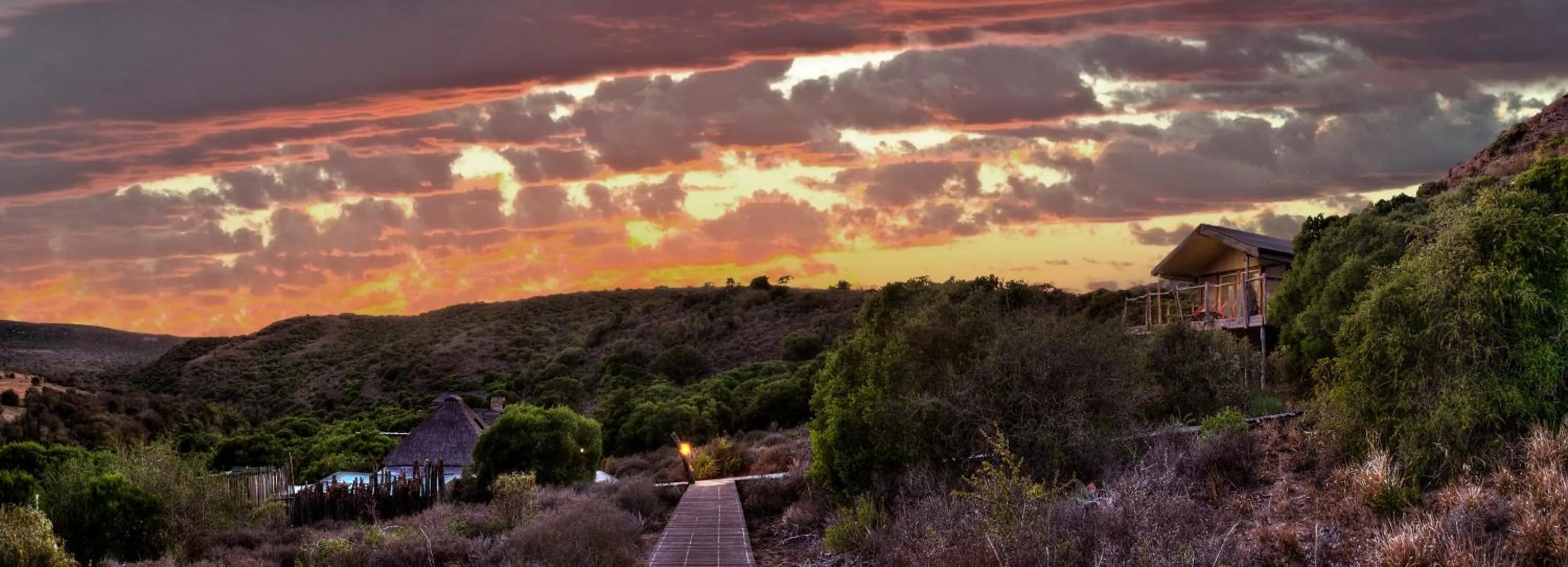 Natural landscape in HillsNek Safari Camp – Amakhala Game Reserve